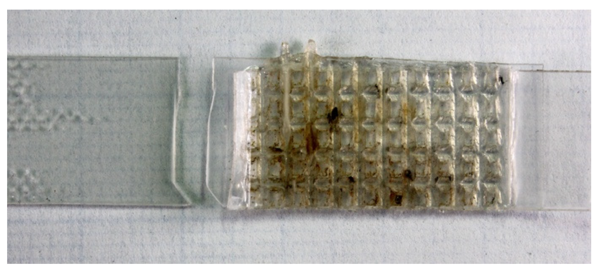 Materials 16 06617 g007