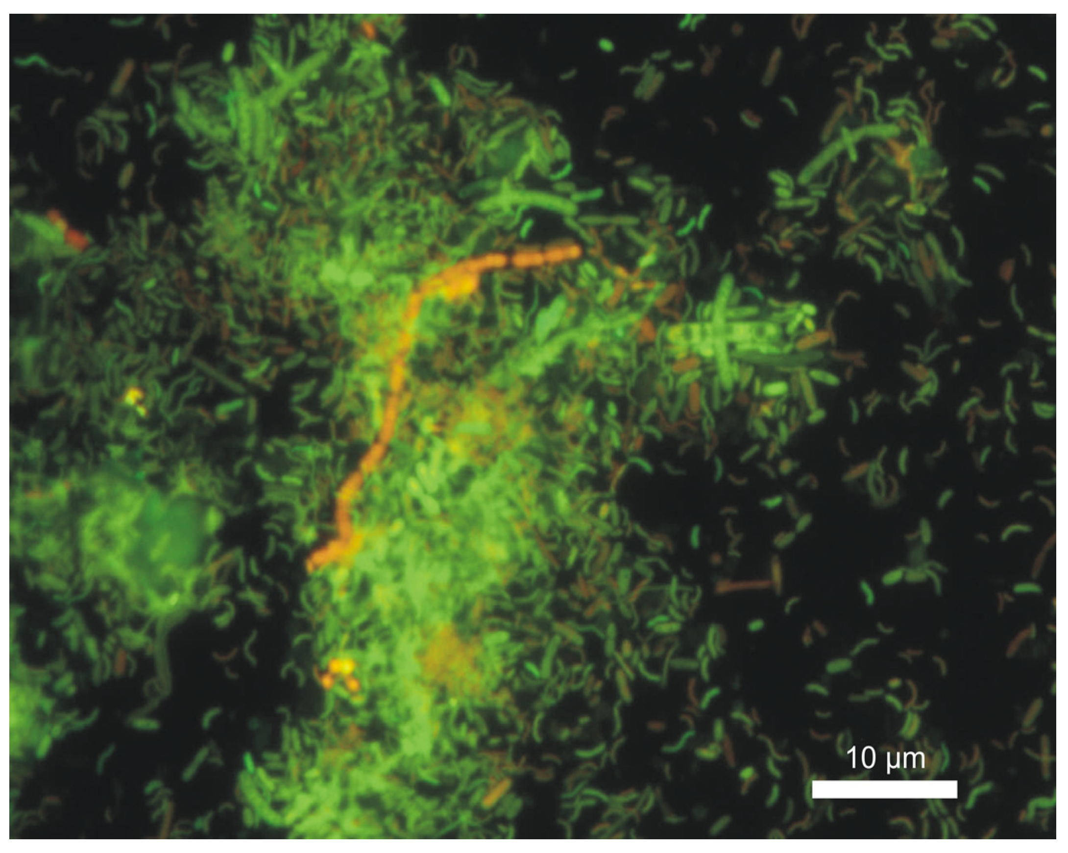 Materials 16 06637 g008