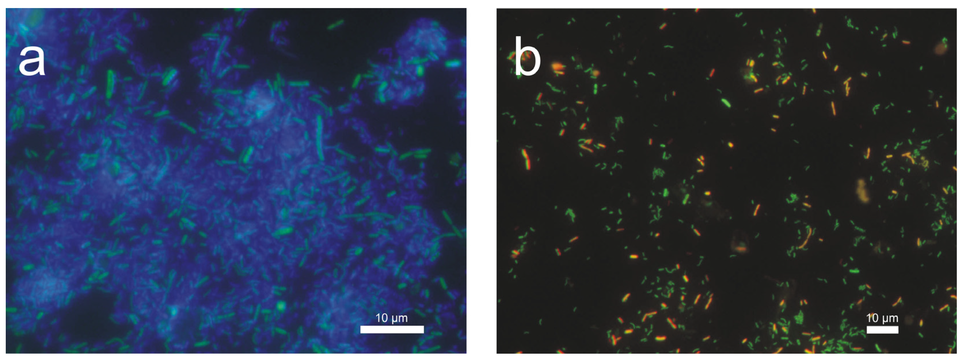 Materials 16 06637 g009