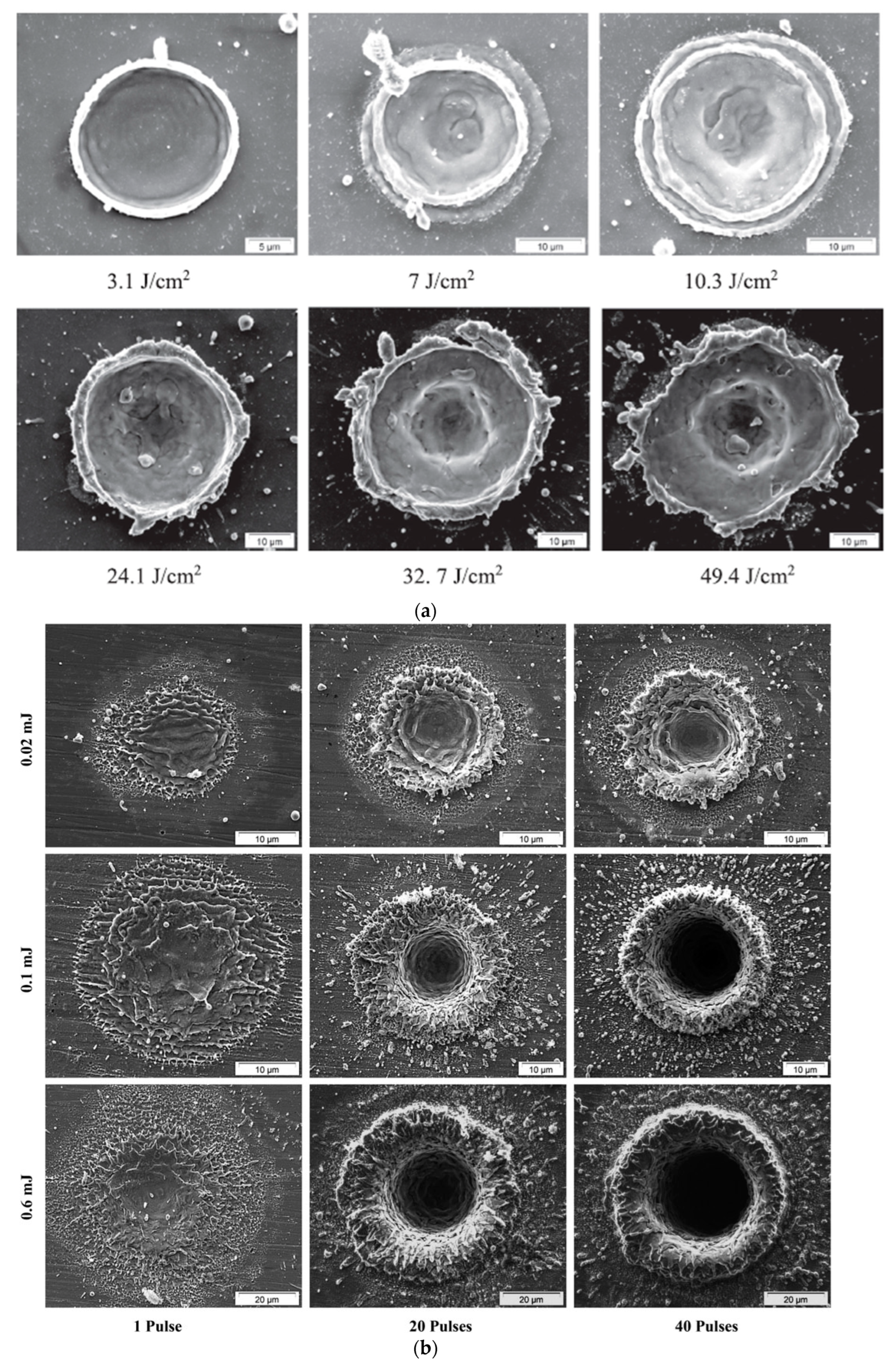 Materials 16 06641 g004a