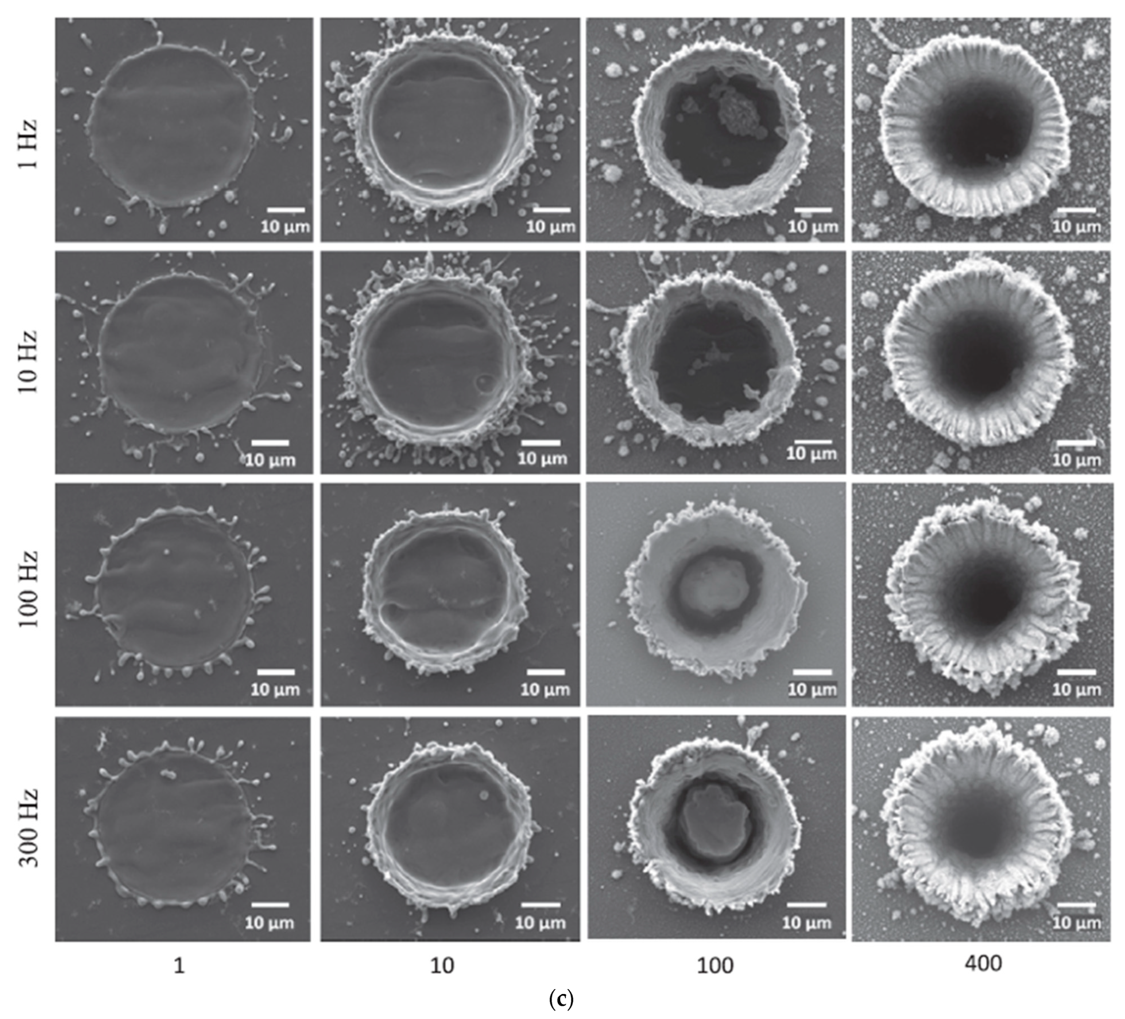 Materials 16 06641 g004b
