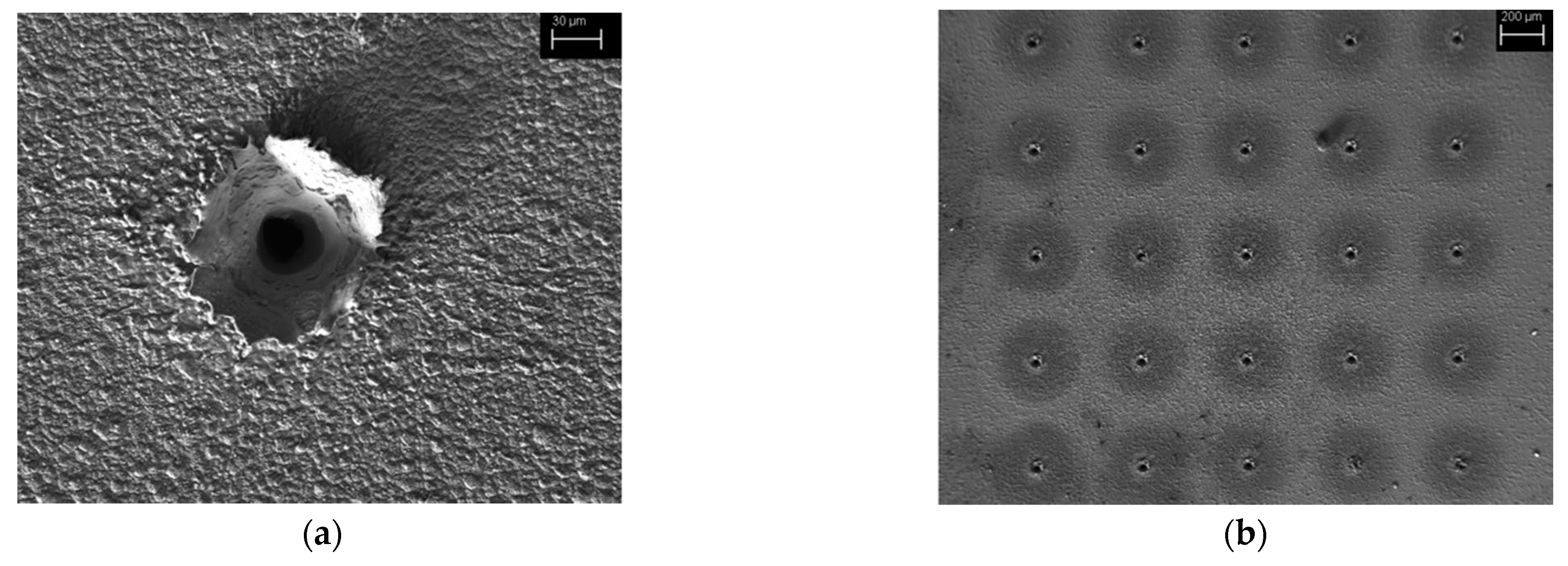 Materials 16 06641 g005a