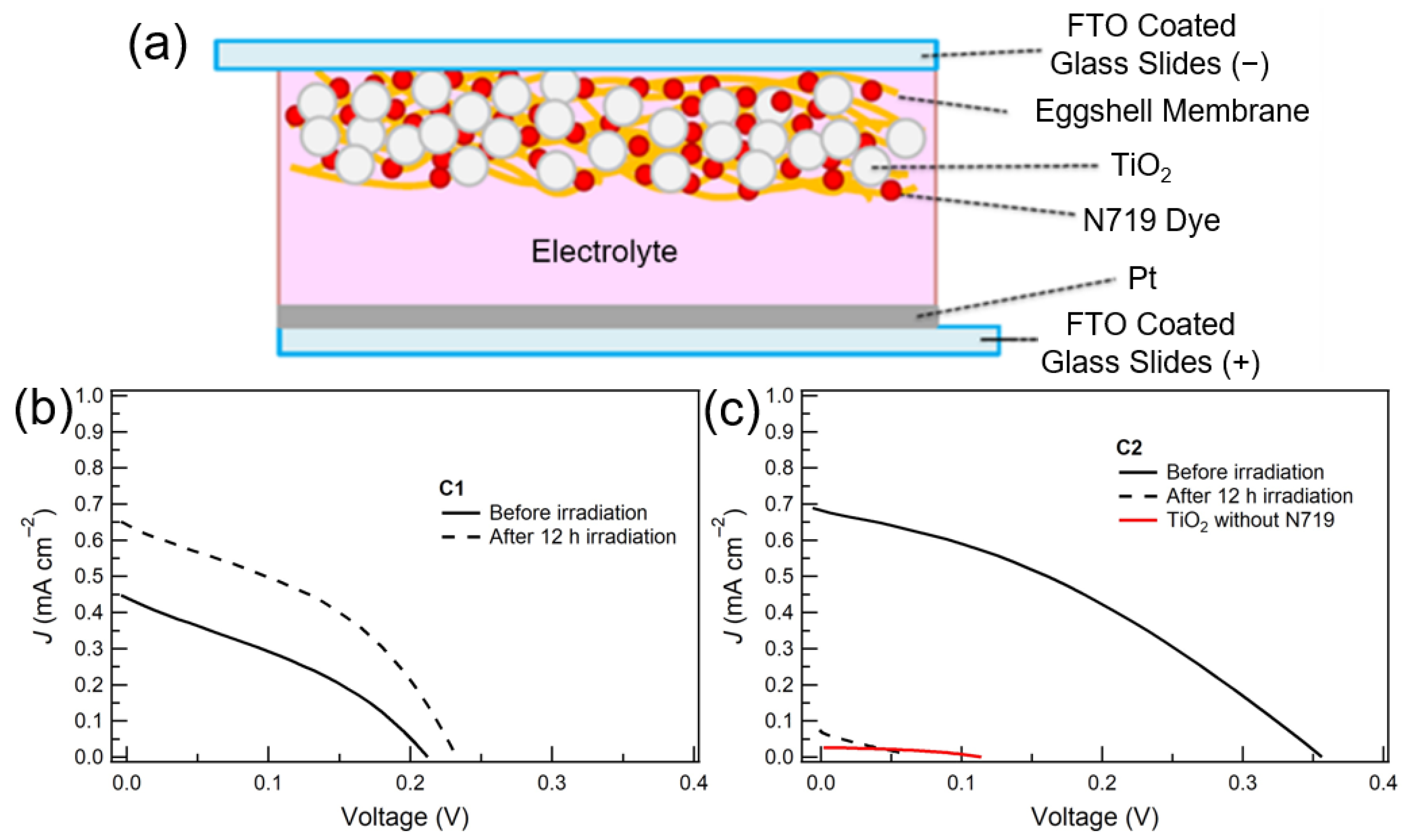 Materials 16 06654 g005