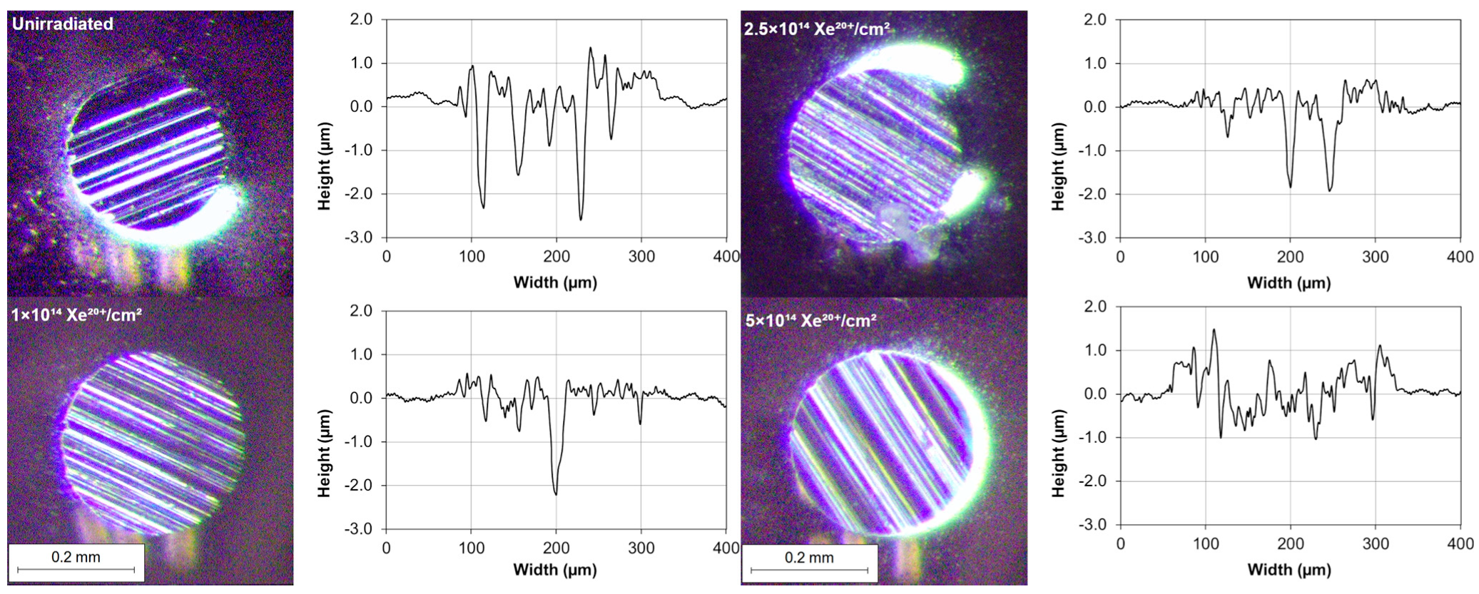 Materials 16 06660 g005