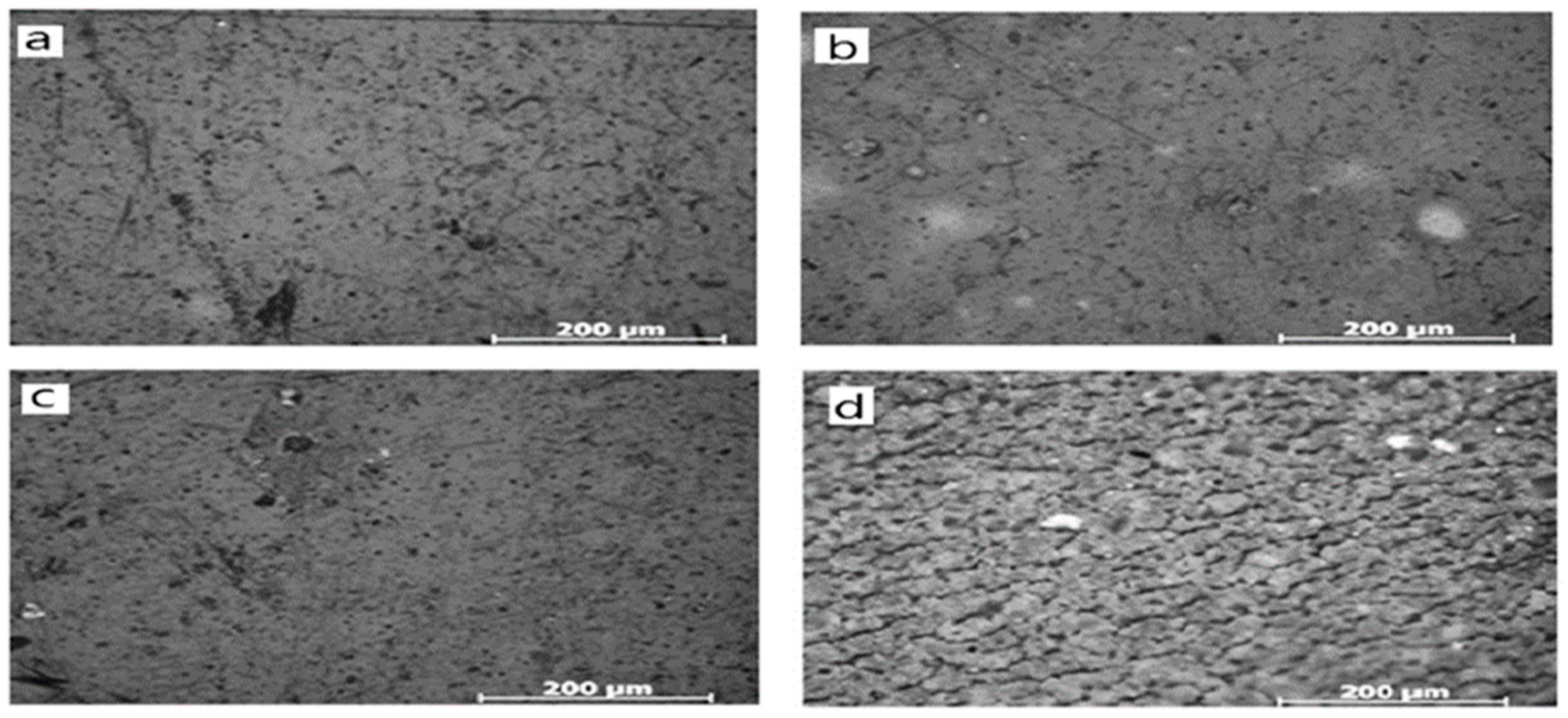 Materials 16 06689 g004 Materials 16 06689 g004