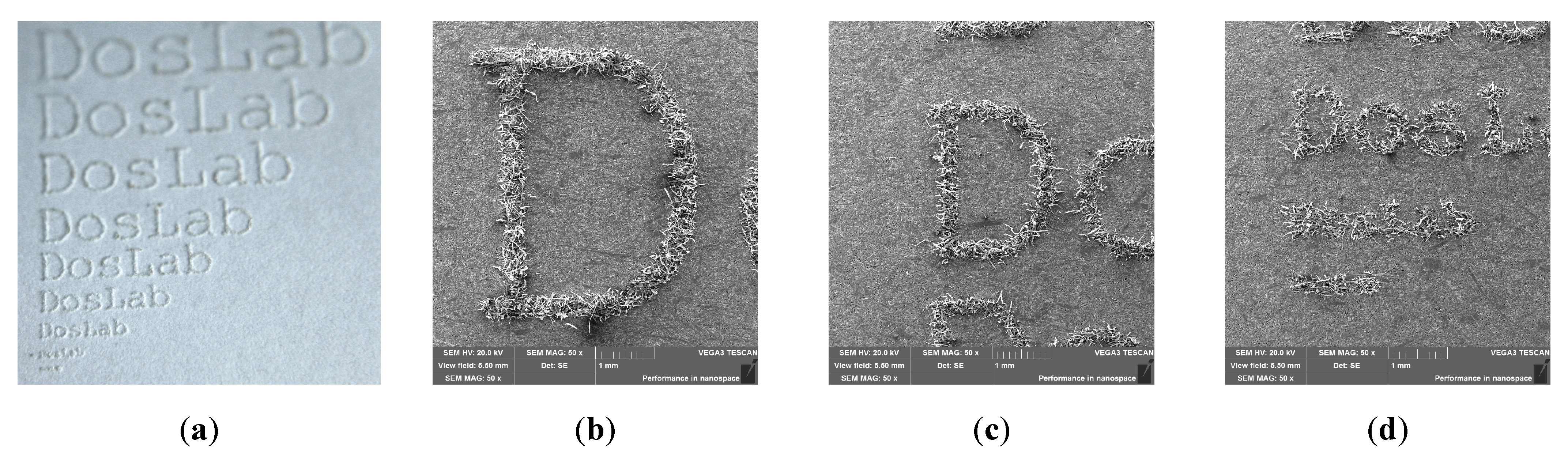 Materials 16 06691 g010