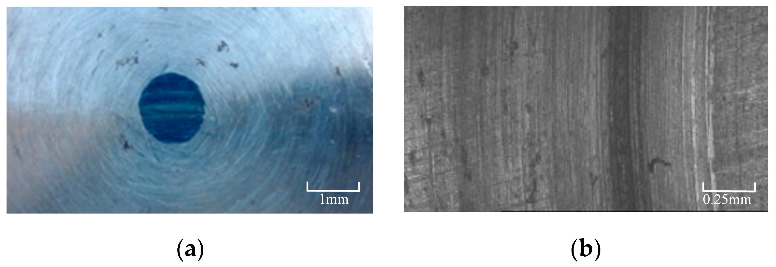 Materials 16 06699 g004