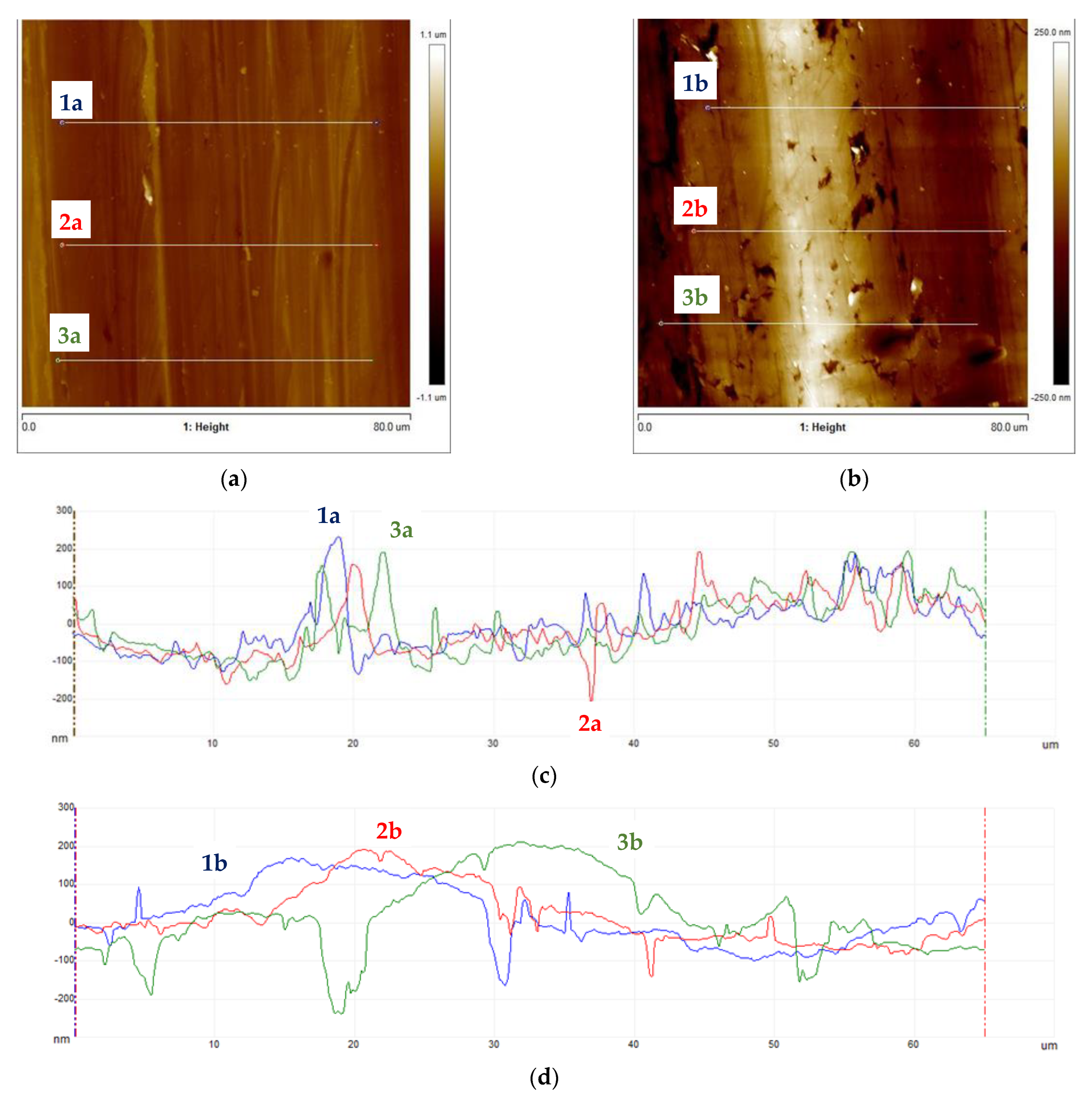 Materials 16 06701 g012