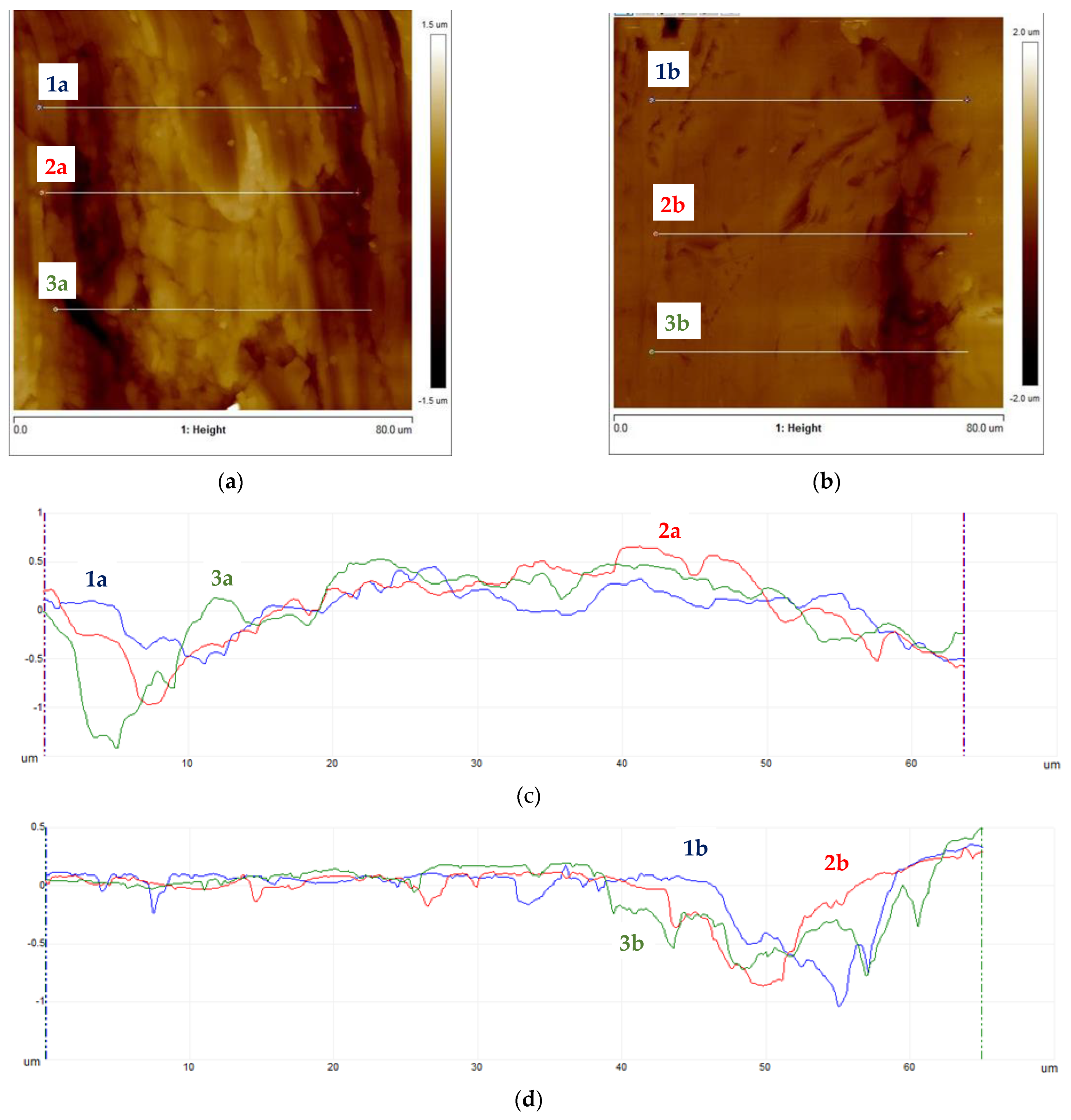 Materials 16 06701 g014