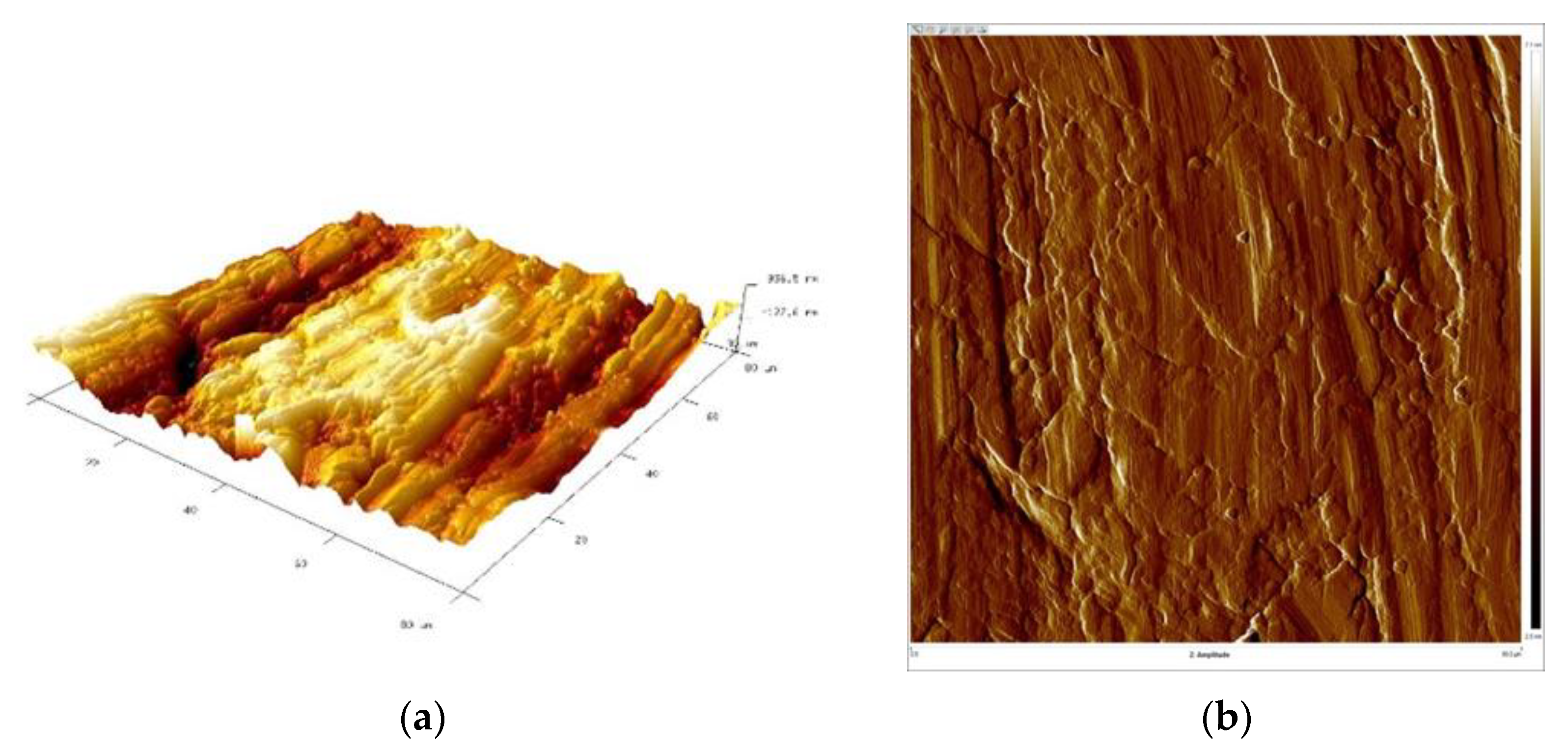 Materials 16 06701 g017