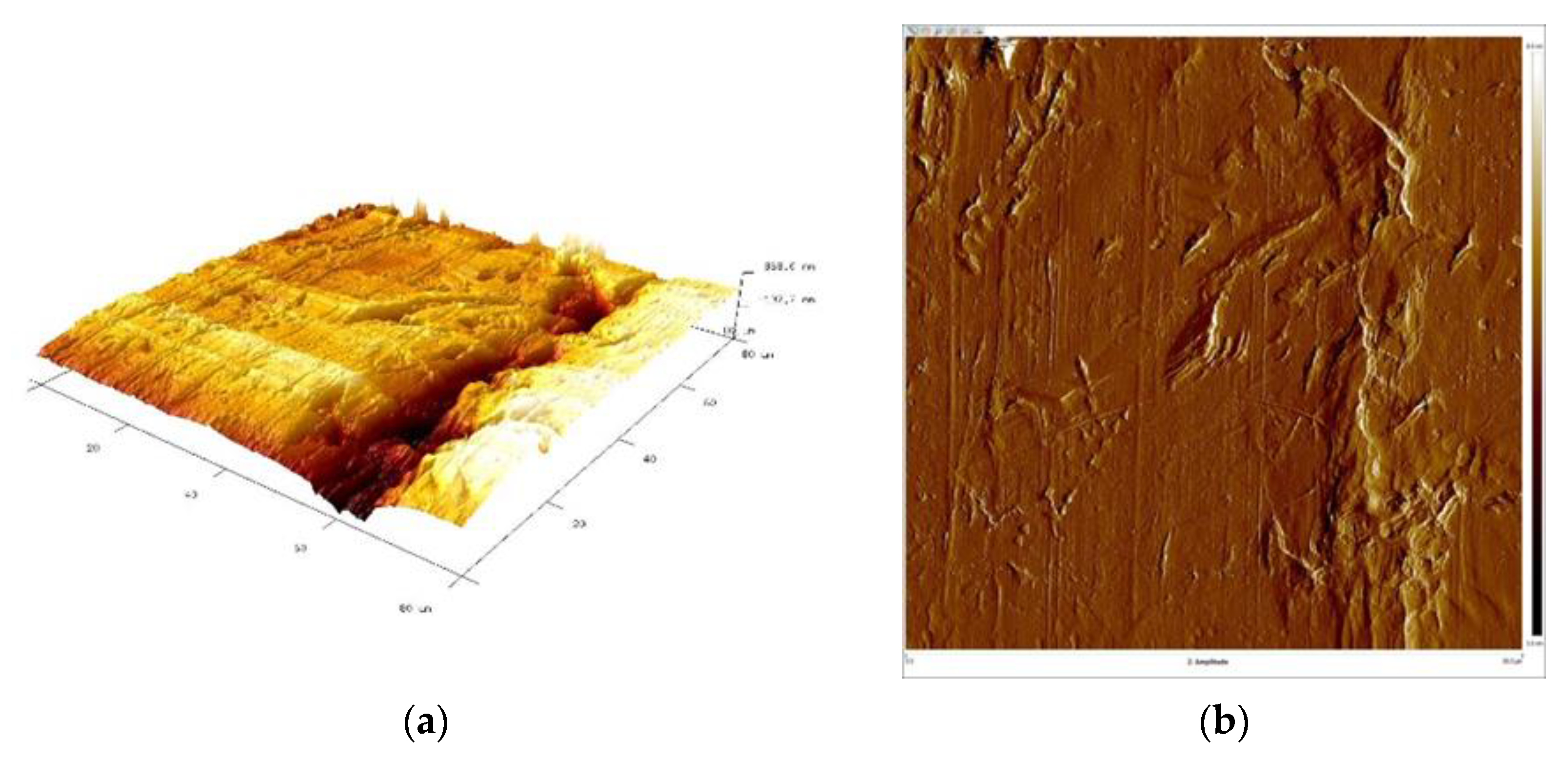 Materials 16 06701 g018