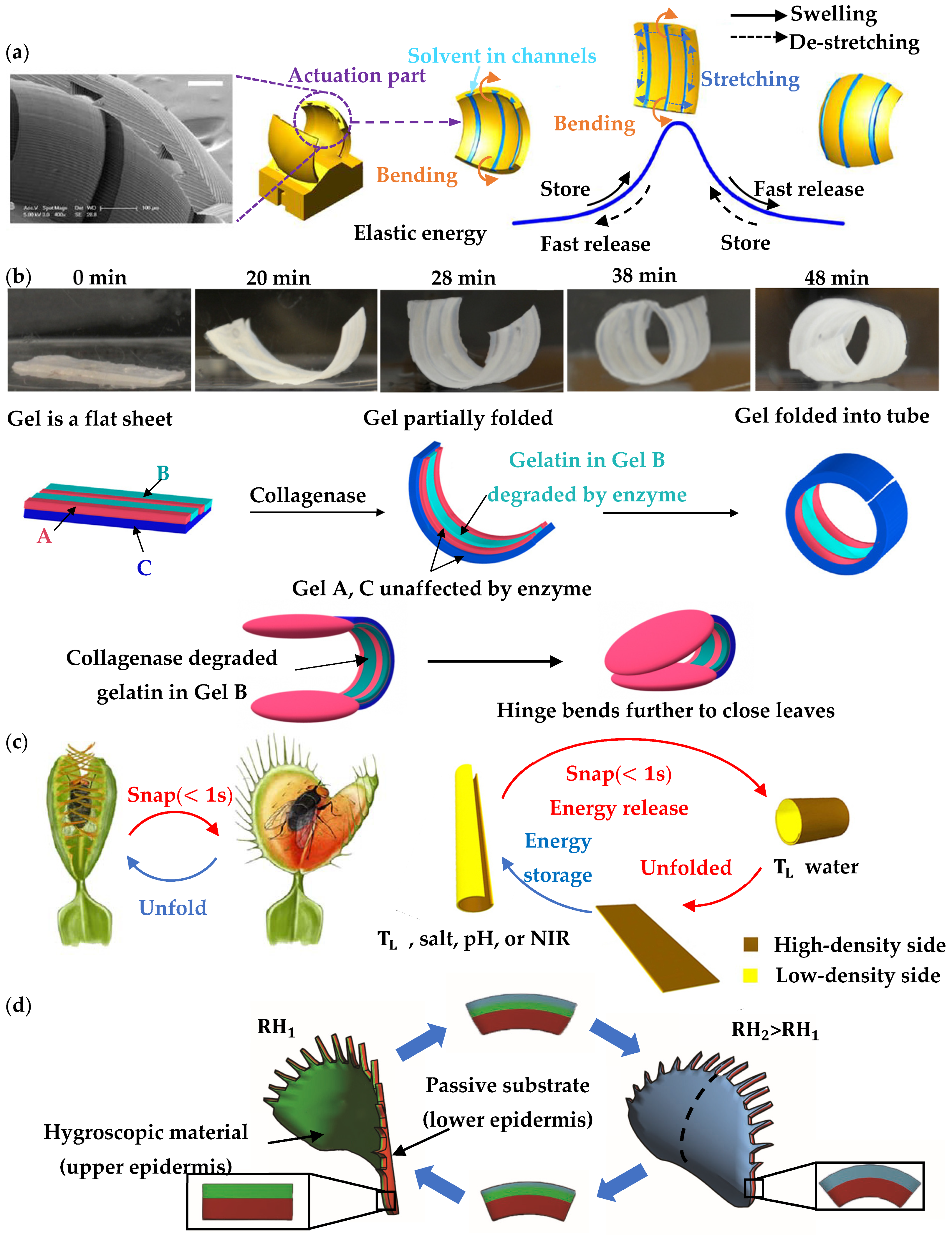 Materials 16 06702 g004