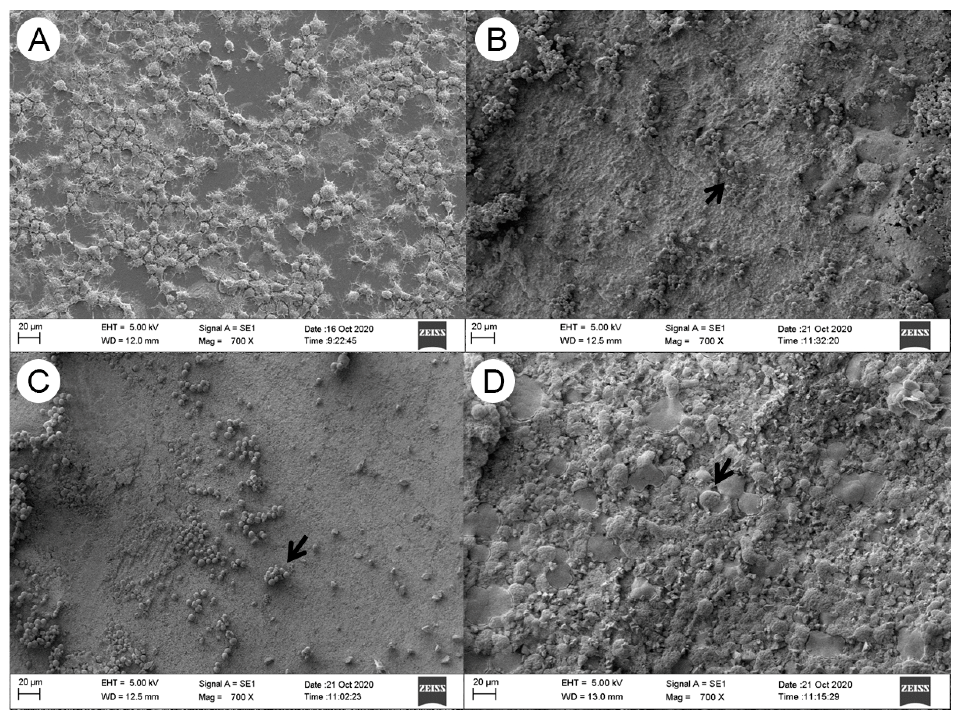 Materials 16 06705 g004