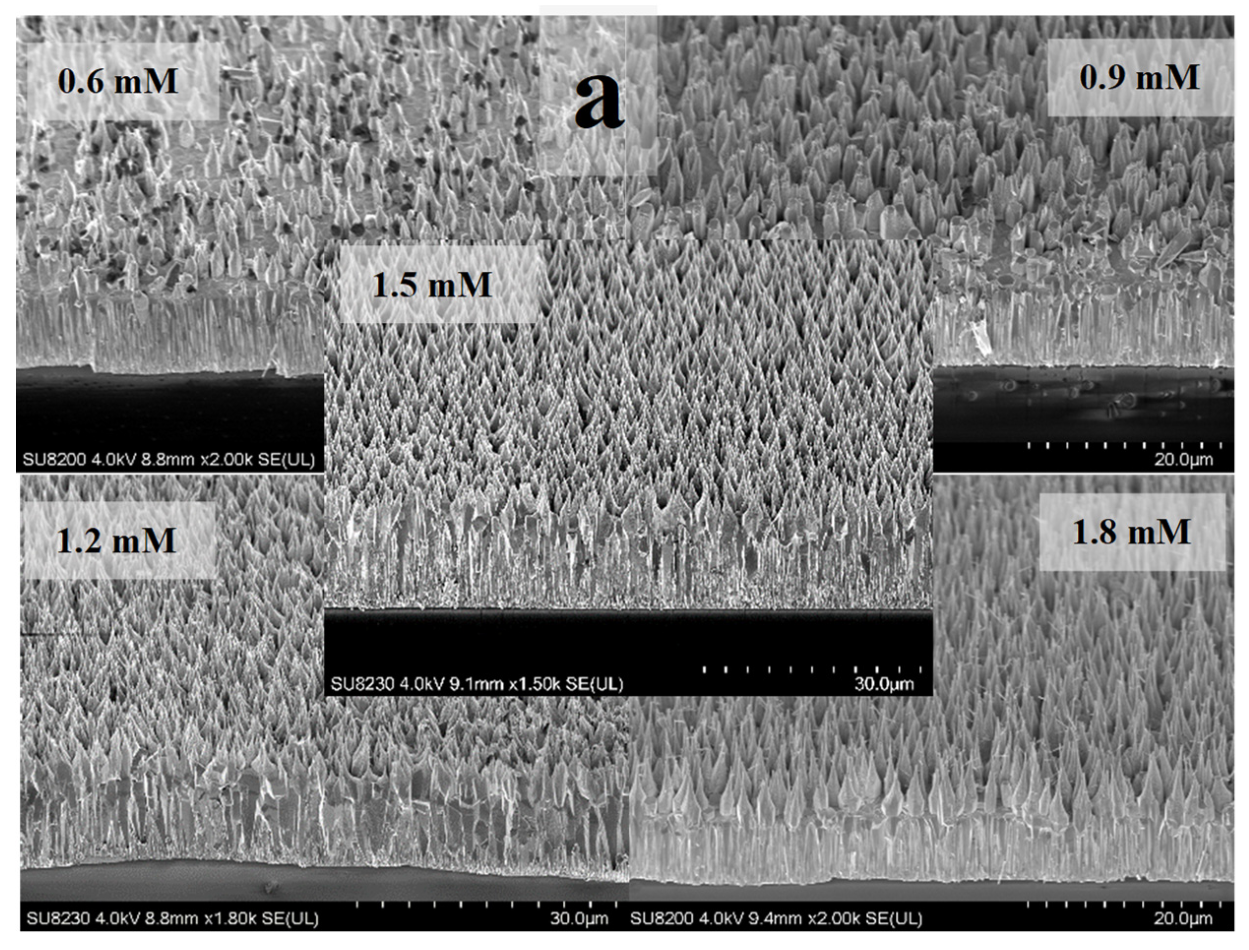 Materials 16 06717 g003a