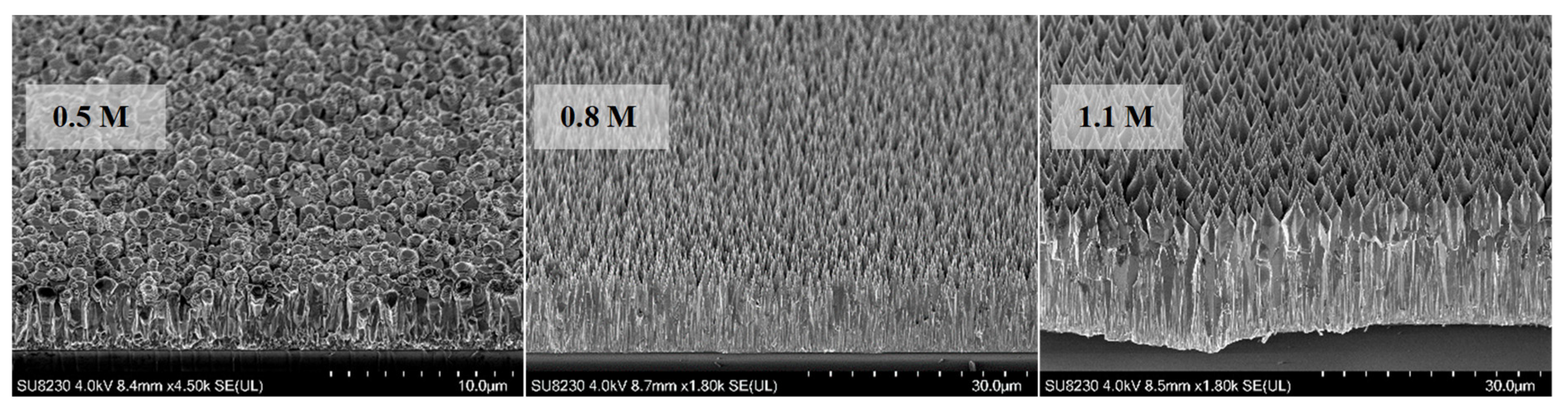 Materials 16 06717 g004