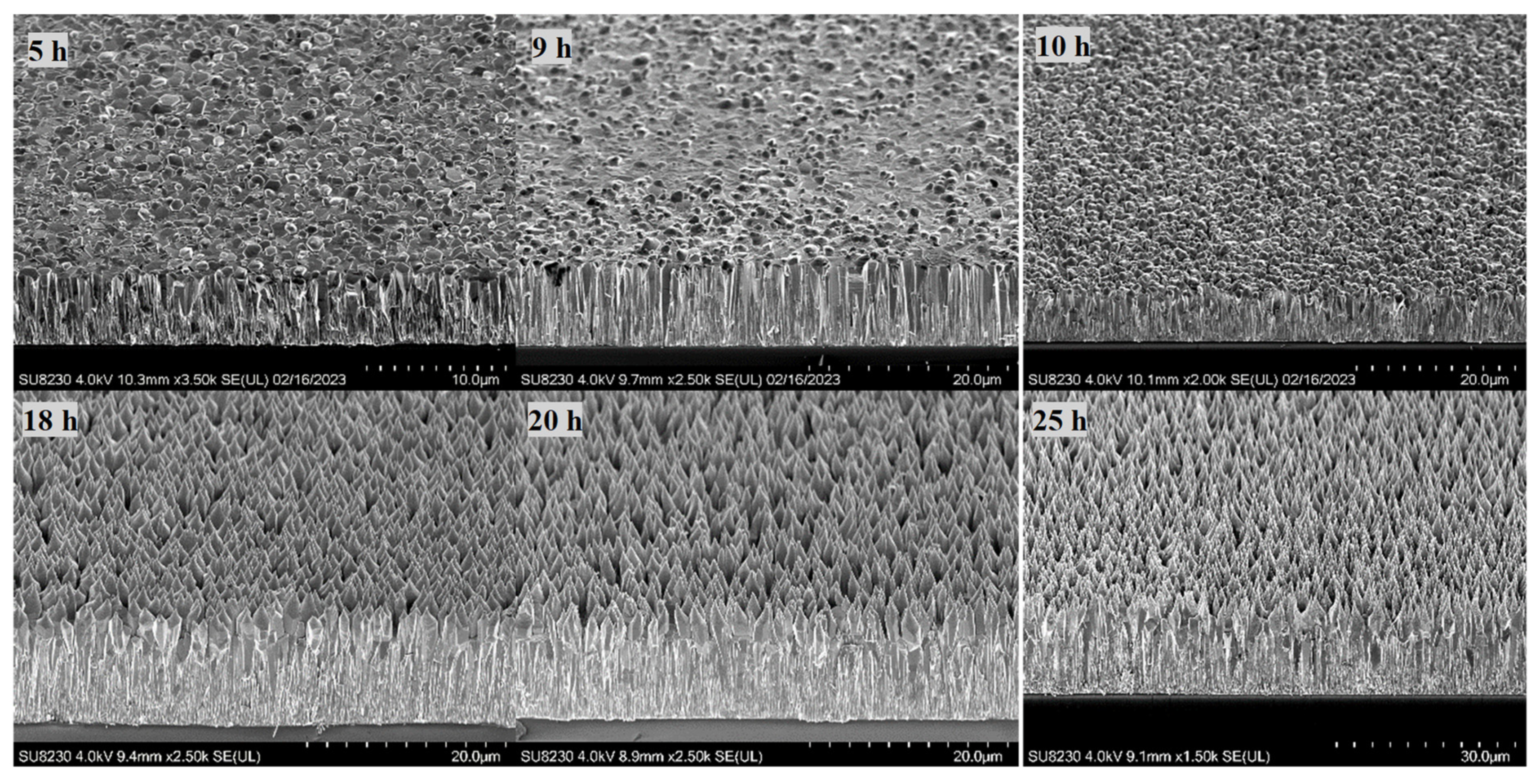 Materials 16 06717 g007