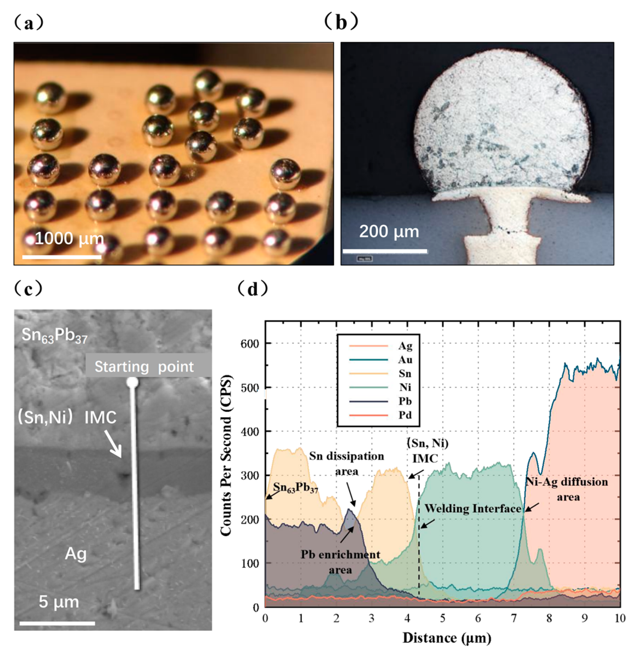 Materials 16 06720 g007