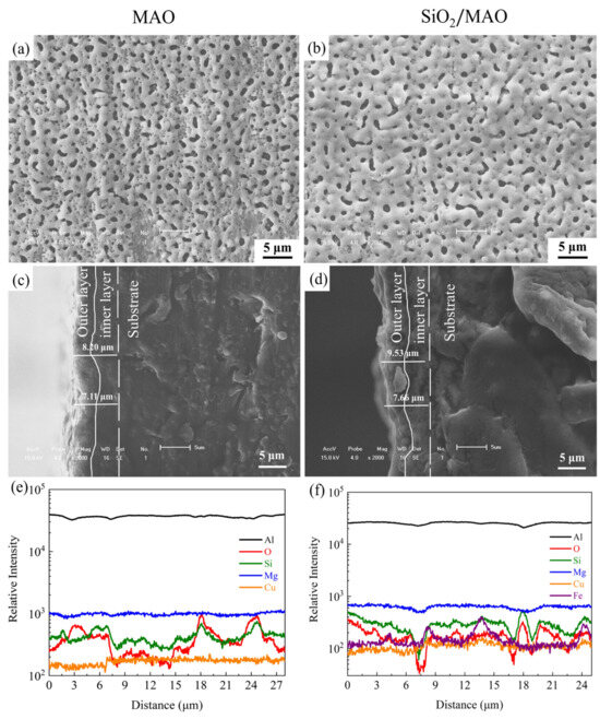 Local Electrochemical Corrosion of 6061 Aluminum Alloy with
