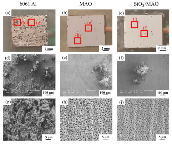 Local Electrochemical Corrosion of 6061 Aluminum Alloy with Nano-SiO2/MAO  Composite Coating