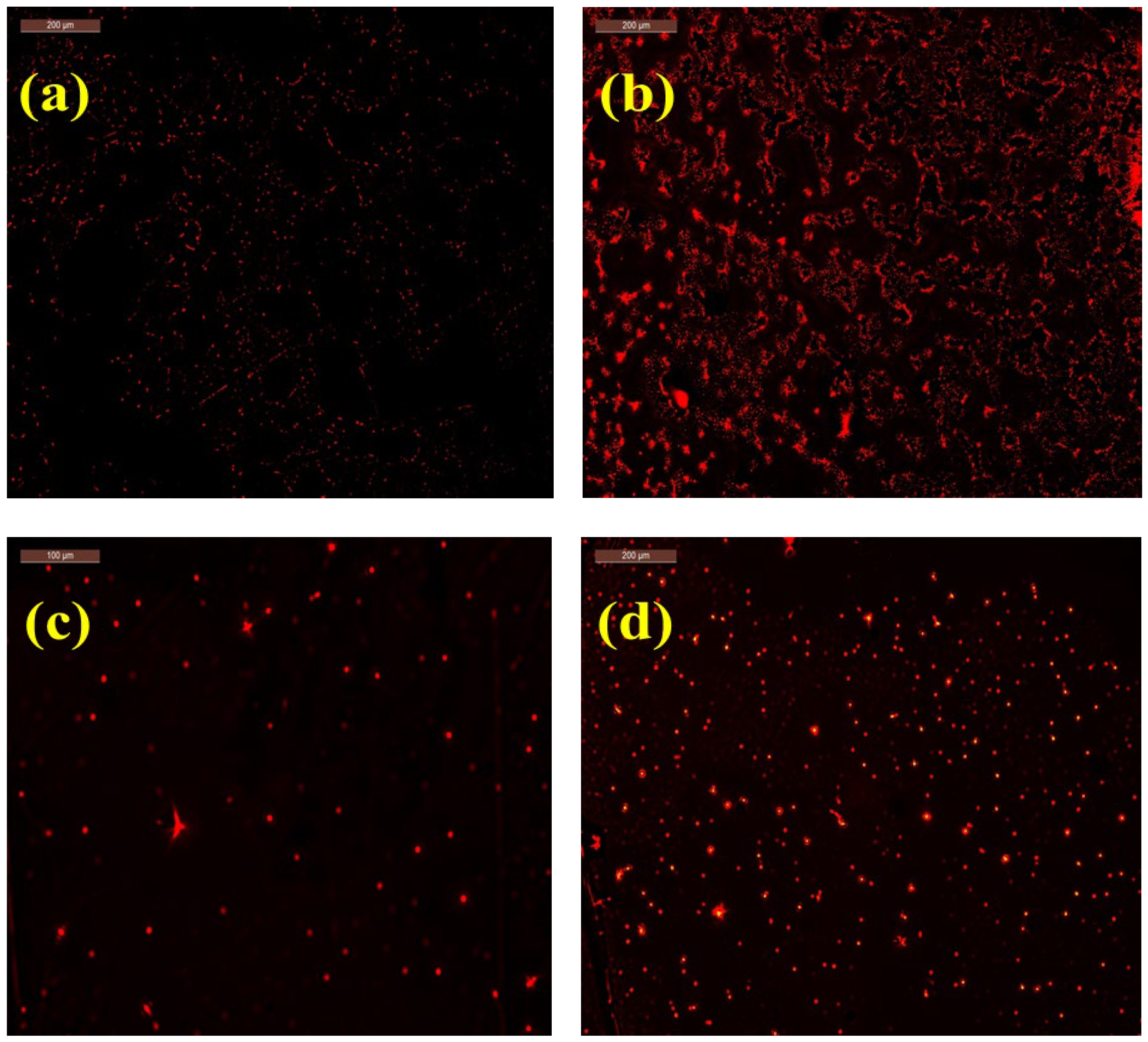 Materials 16 06722 g006