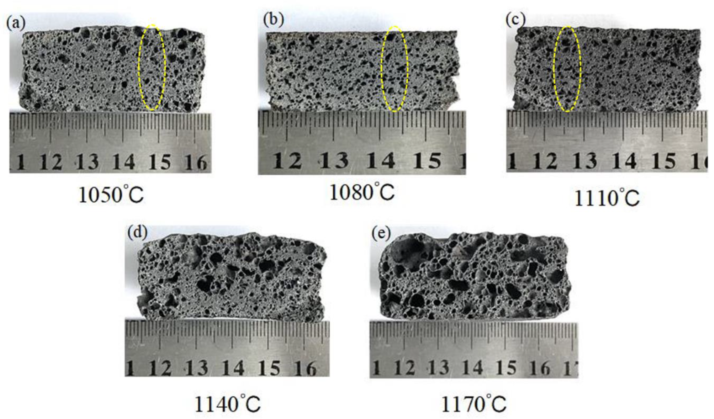 Materials 16 06724 g008