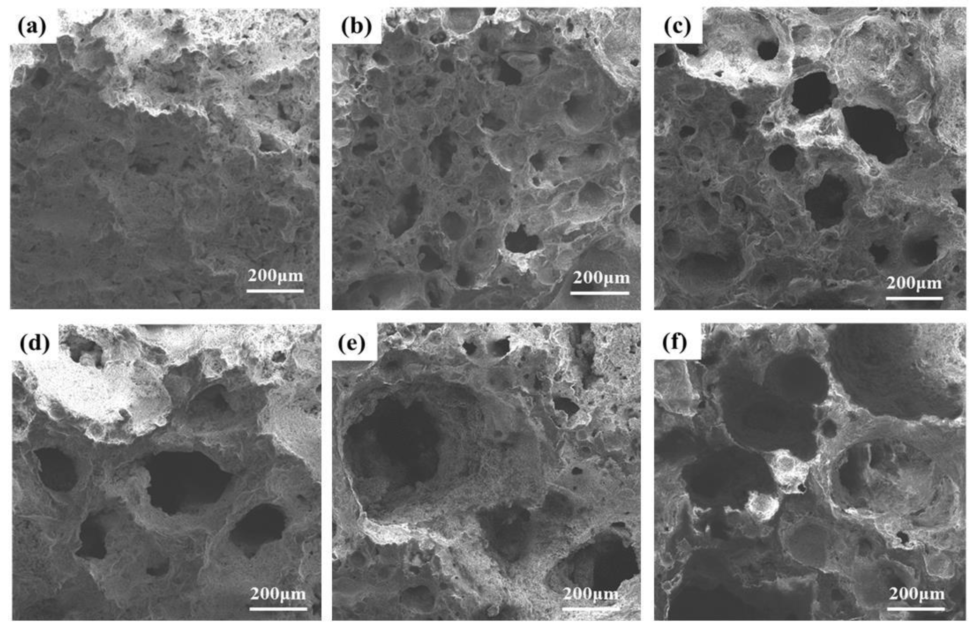 Materials 16 06724 g012