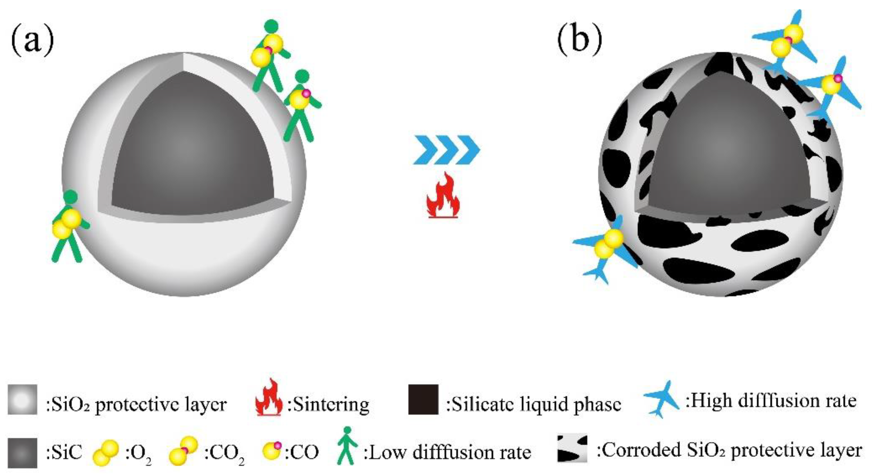 Materials 16 06724 g013