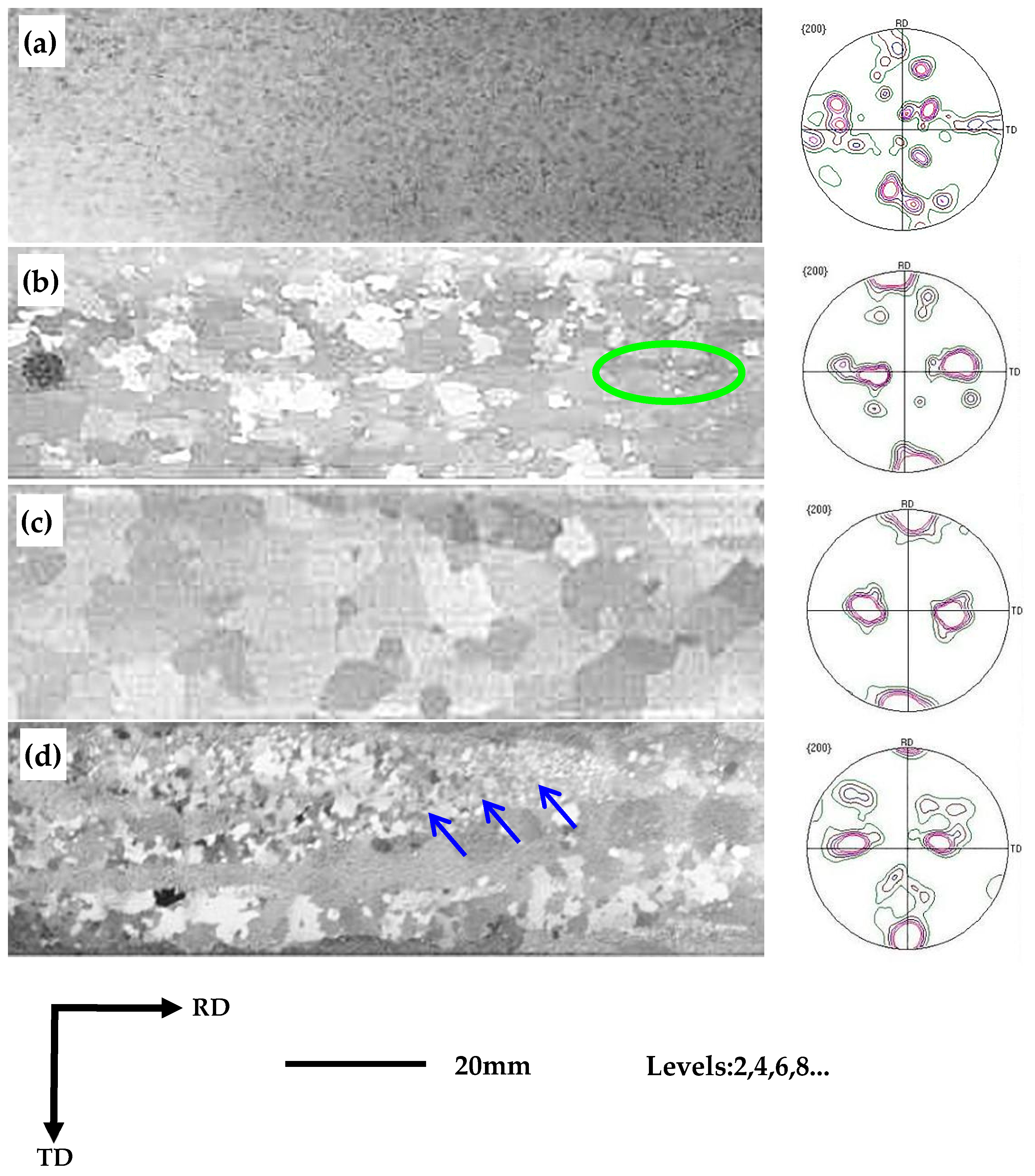 Materials 16 06731 g009 Materials 16 06731 g009
