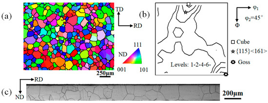 Evolutions of Cube ({001}<100>) and {115}<161> Orientations in