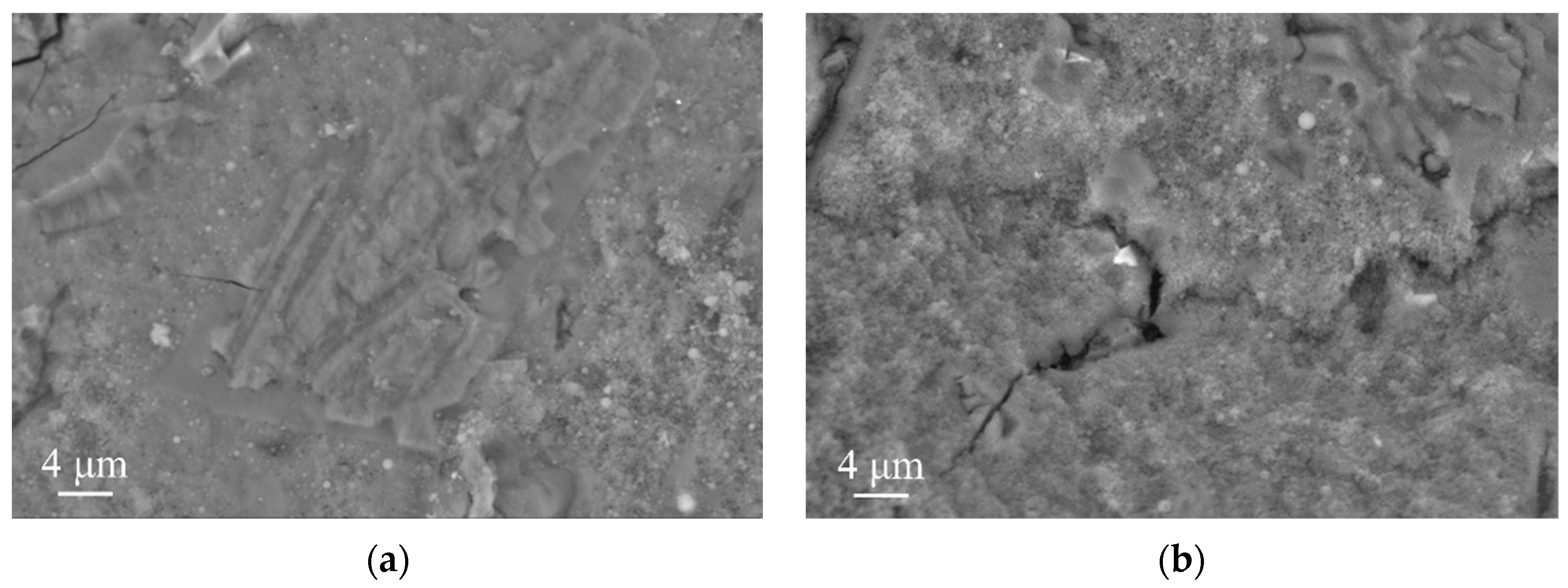 Materials 16 06737 g010