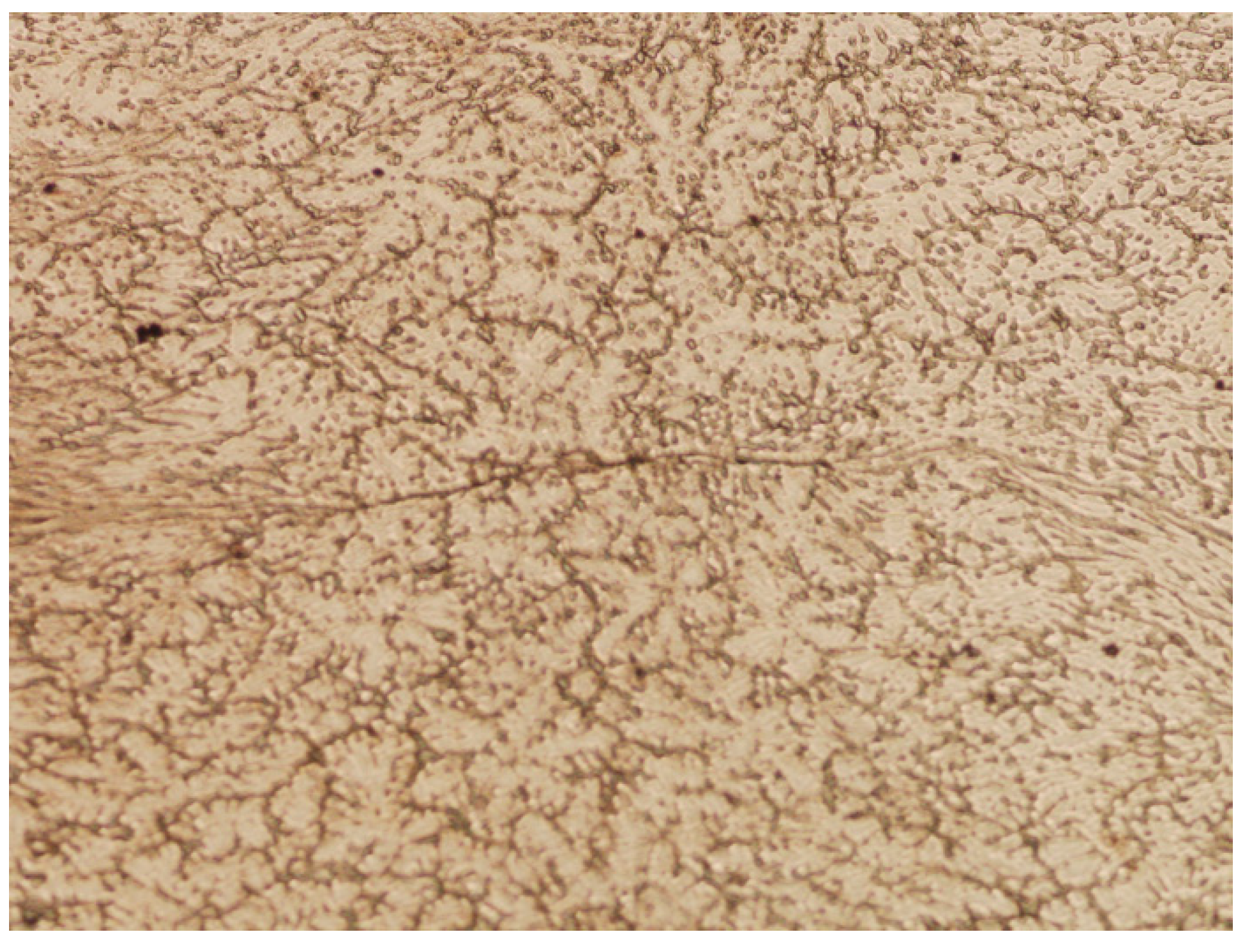 Materials 16 06738 g020