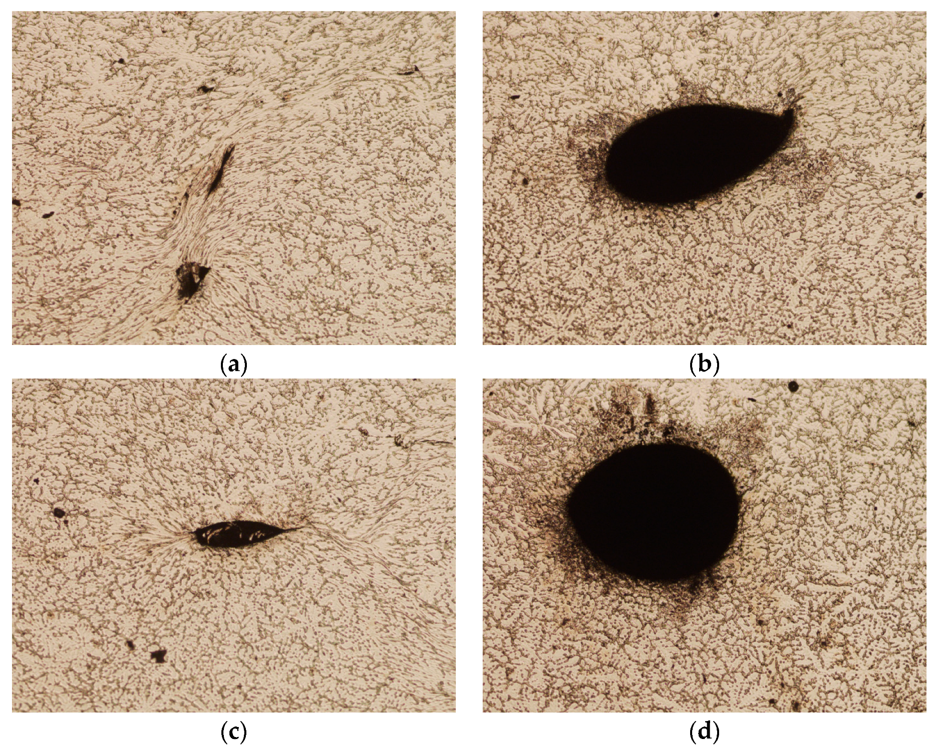 Materials 16 06738 g023