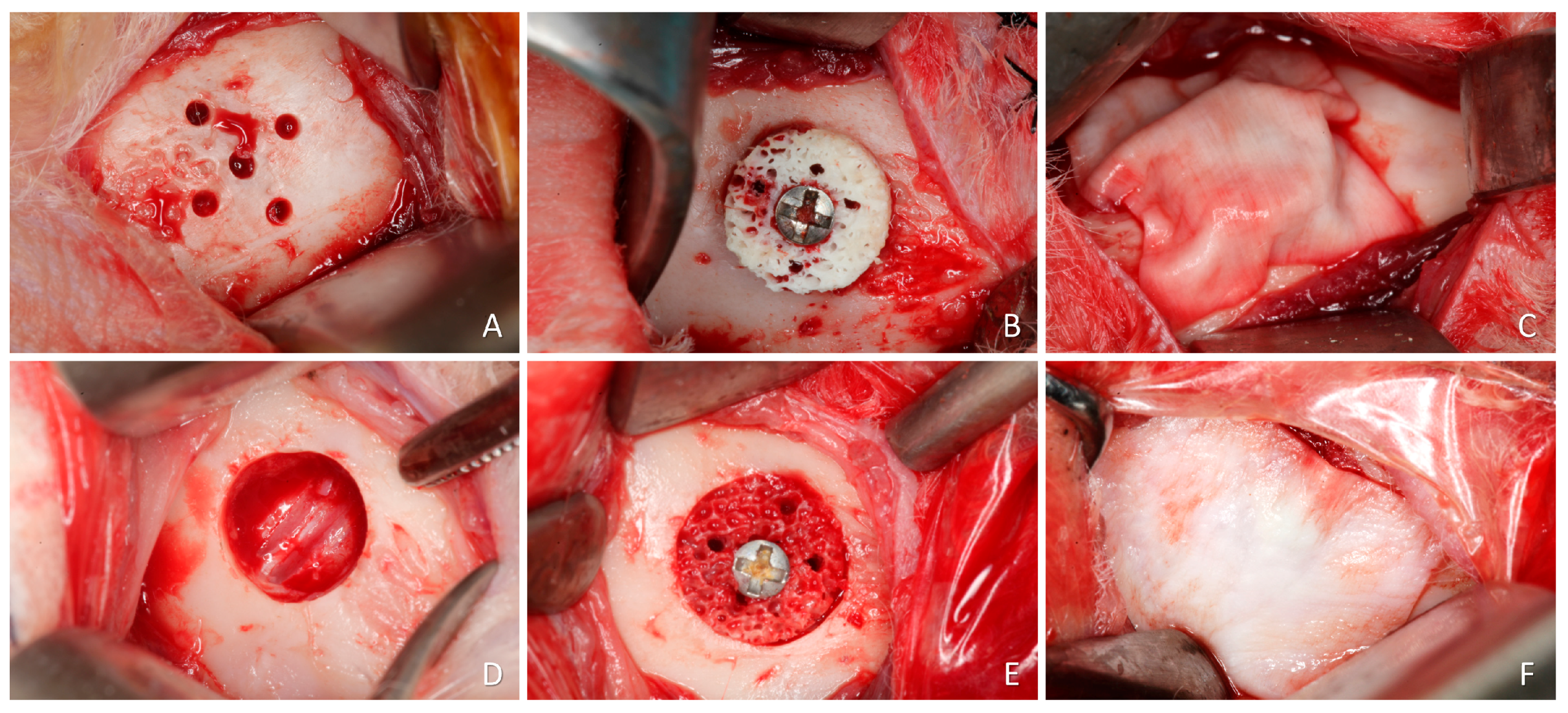 Materials 16 06742 g002