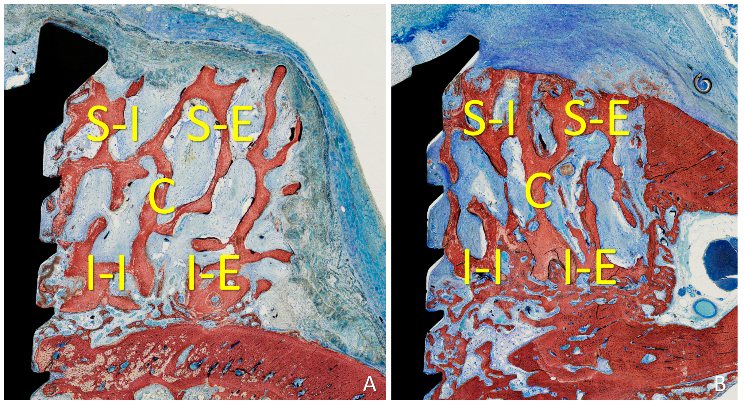 Materials 16 06742 g003