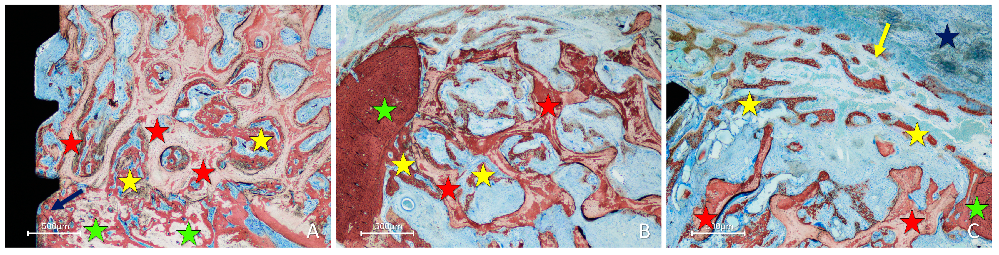 Materials 16 06742 g006