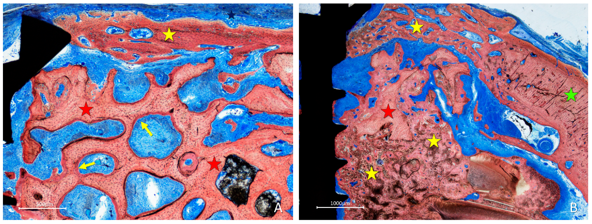 Materials 16 06742 g008