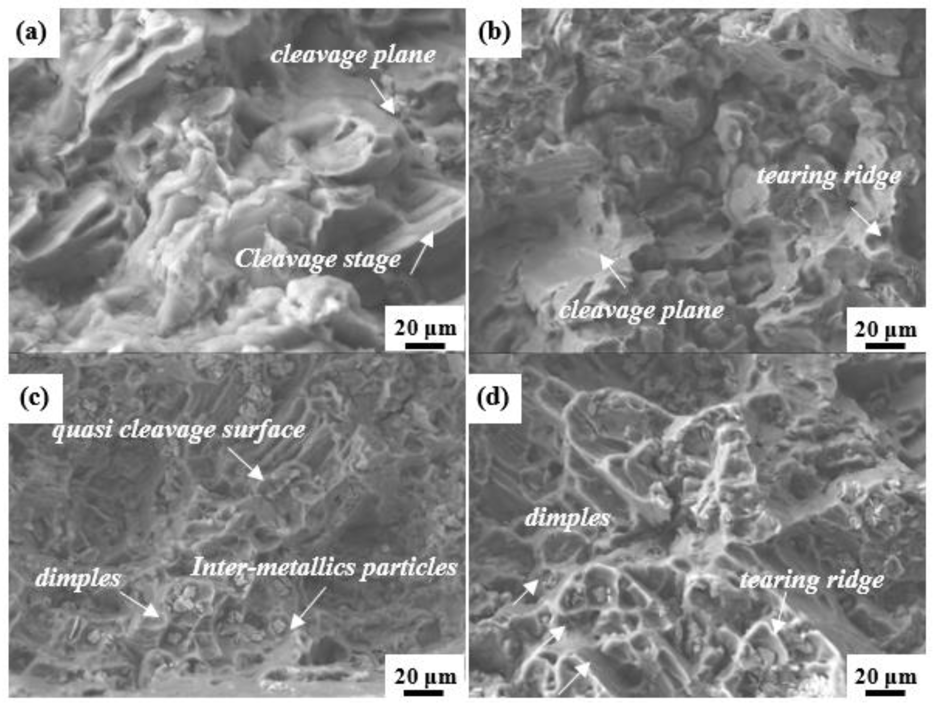 Materials 16 06747 g008