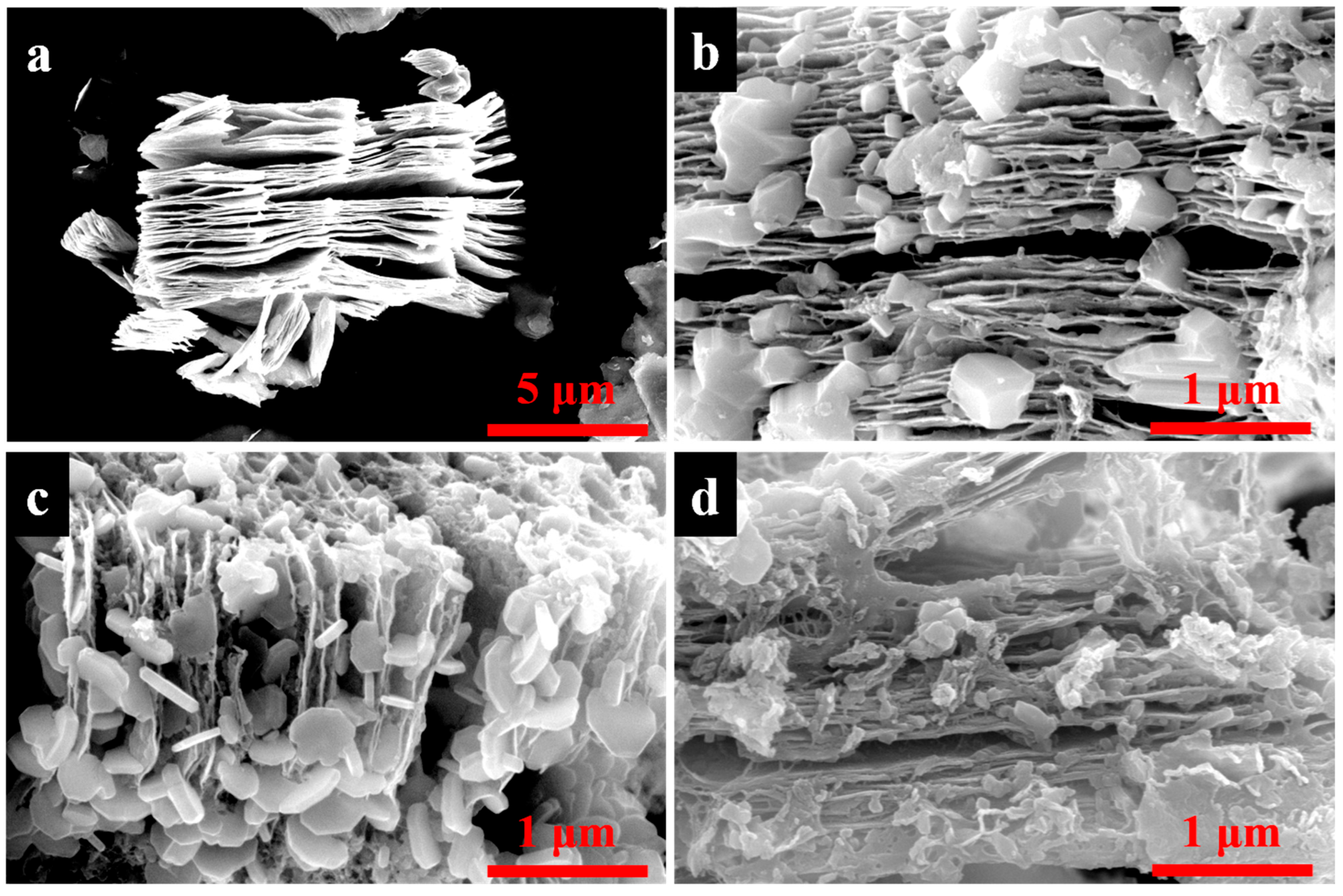 Materials 16 06752 g001