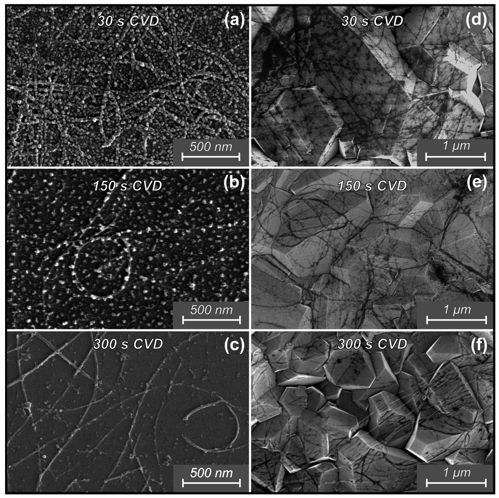 Materials 16 06755 g005