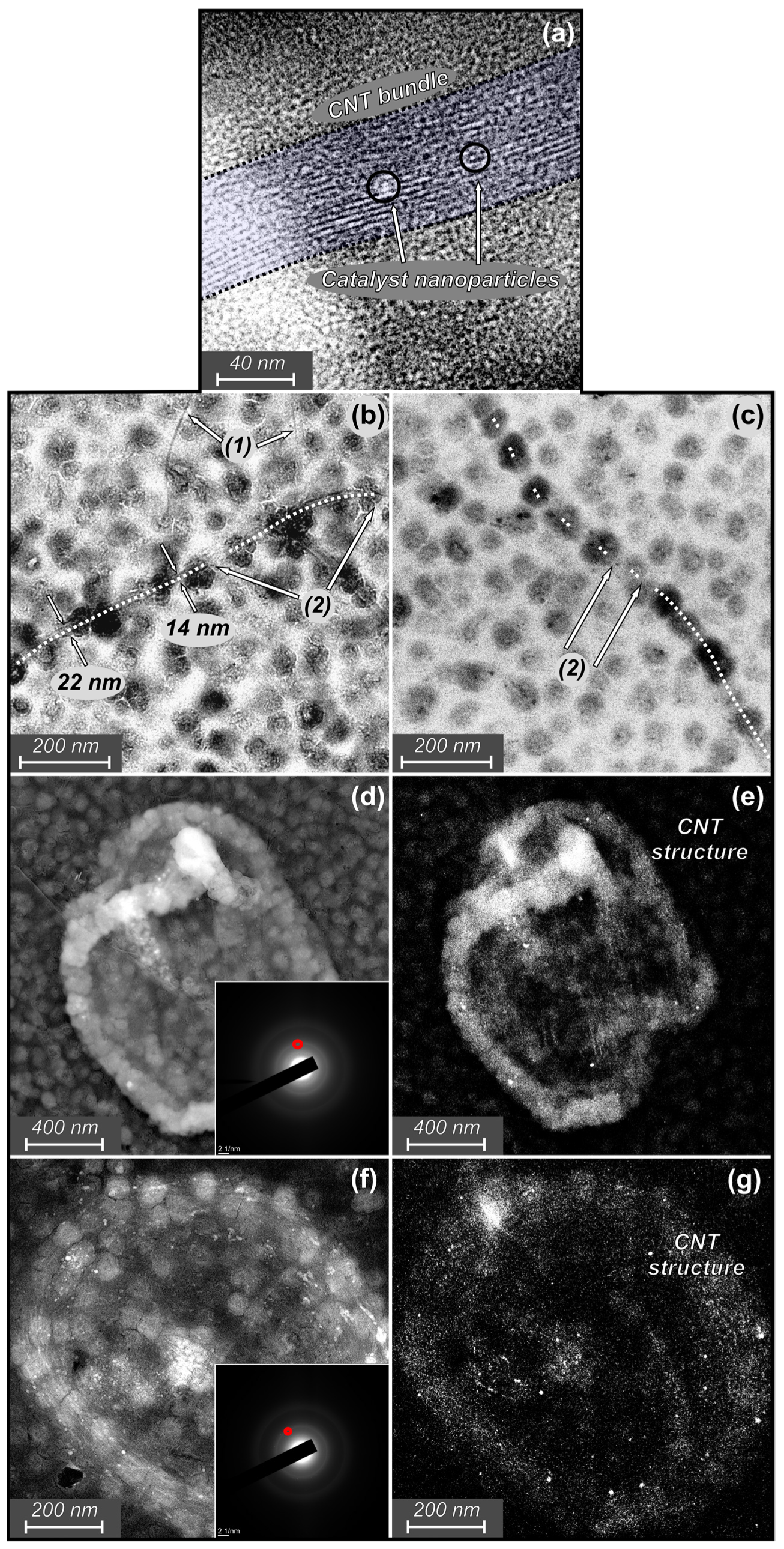 Materials 16 06755 g007