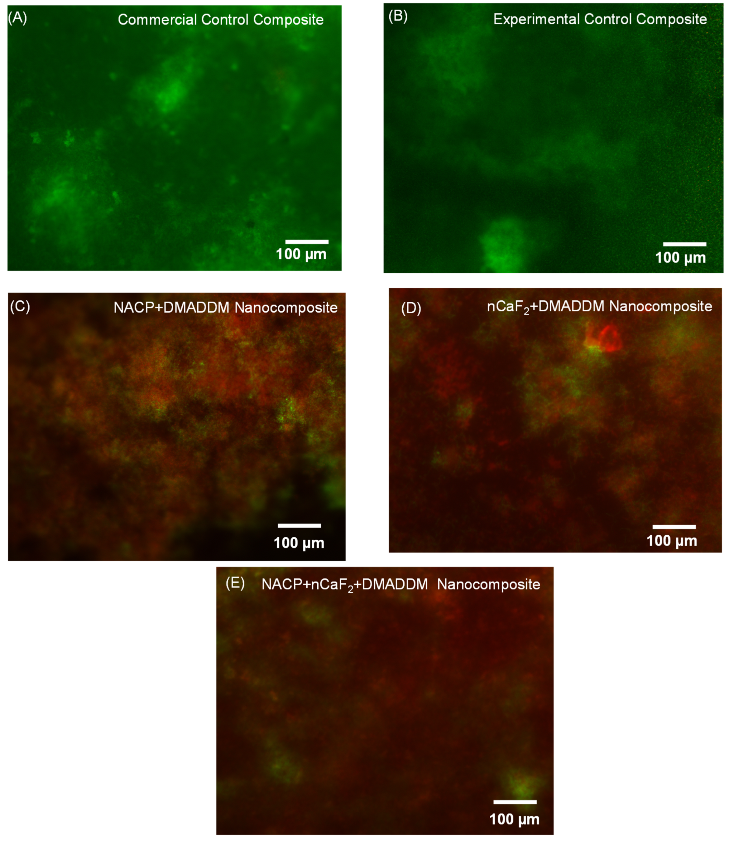 Materials 16 06770 g001 Materials 16 06770 g001