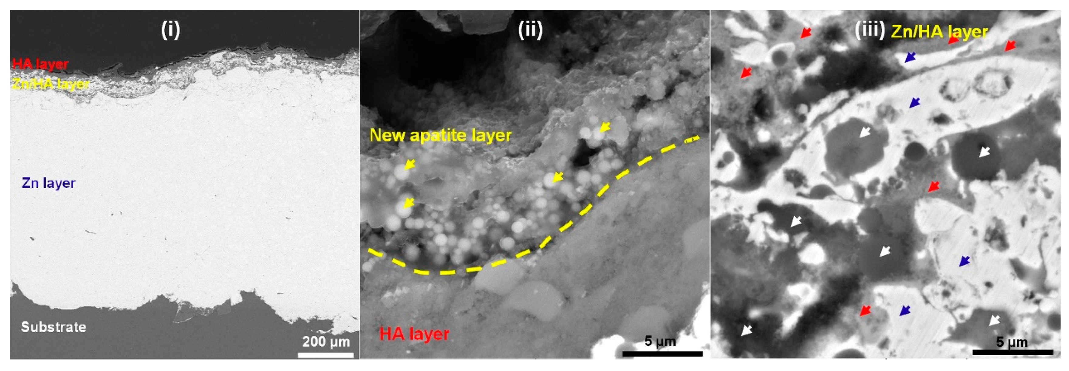 Materials 16 06782 g008