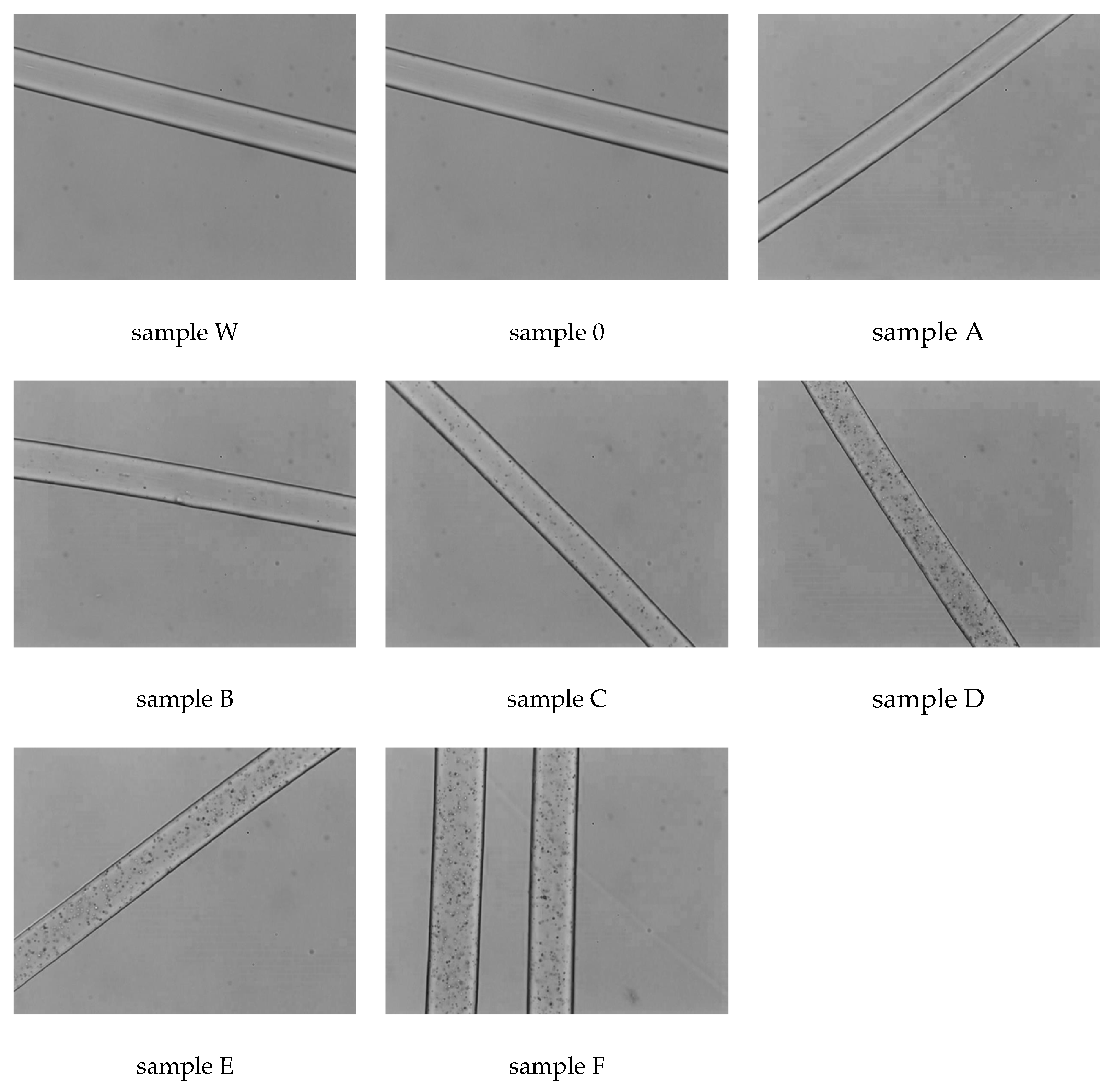 Materials 16 06789 g006