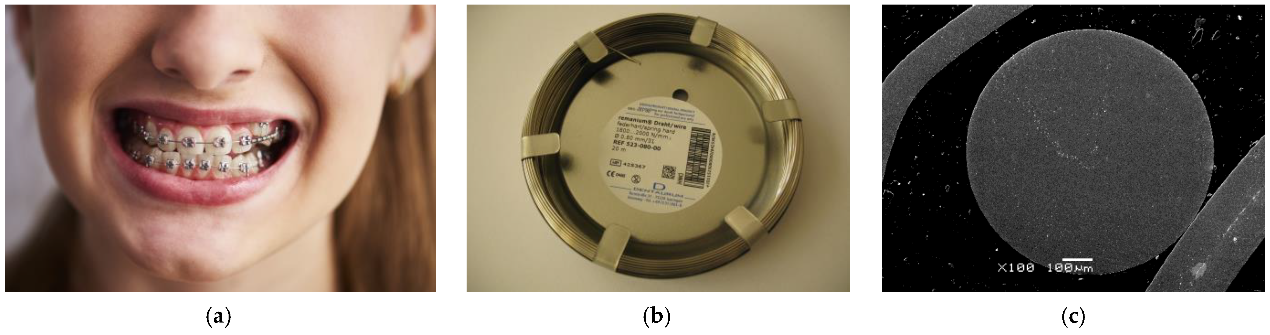 Effect of Artificial Saliva Modification on Pitting Corrosion and 