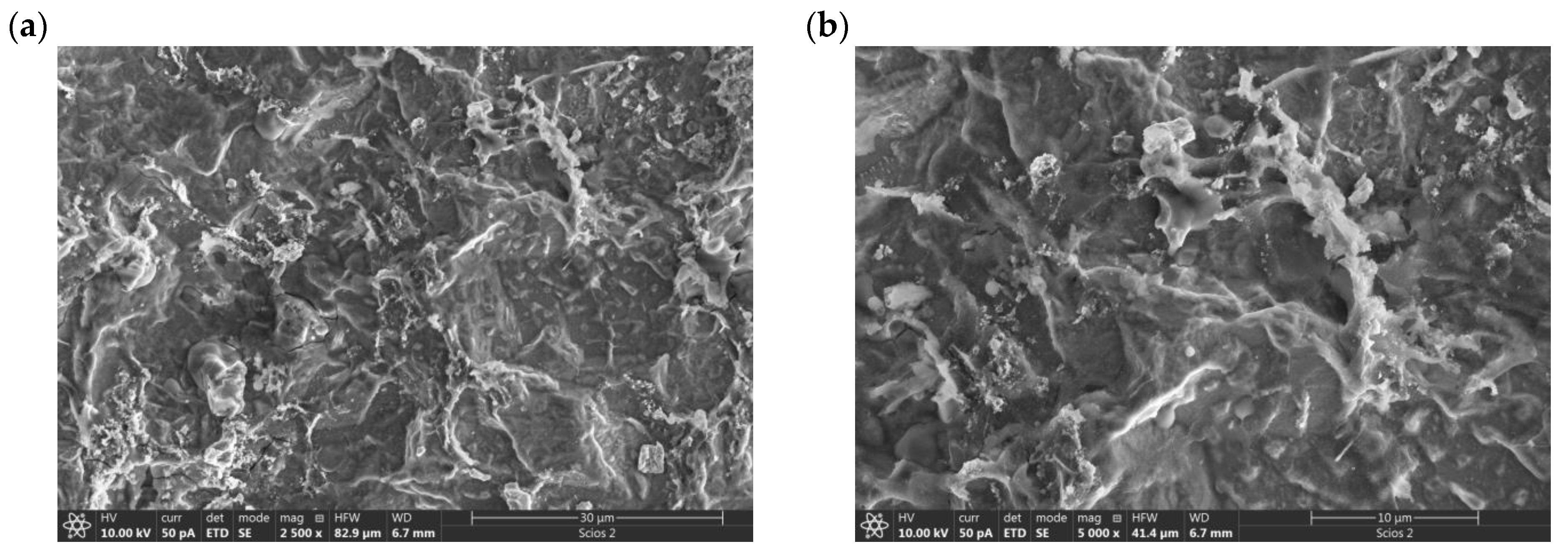 Materials 16 06795 g005a