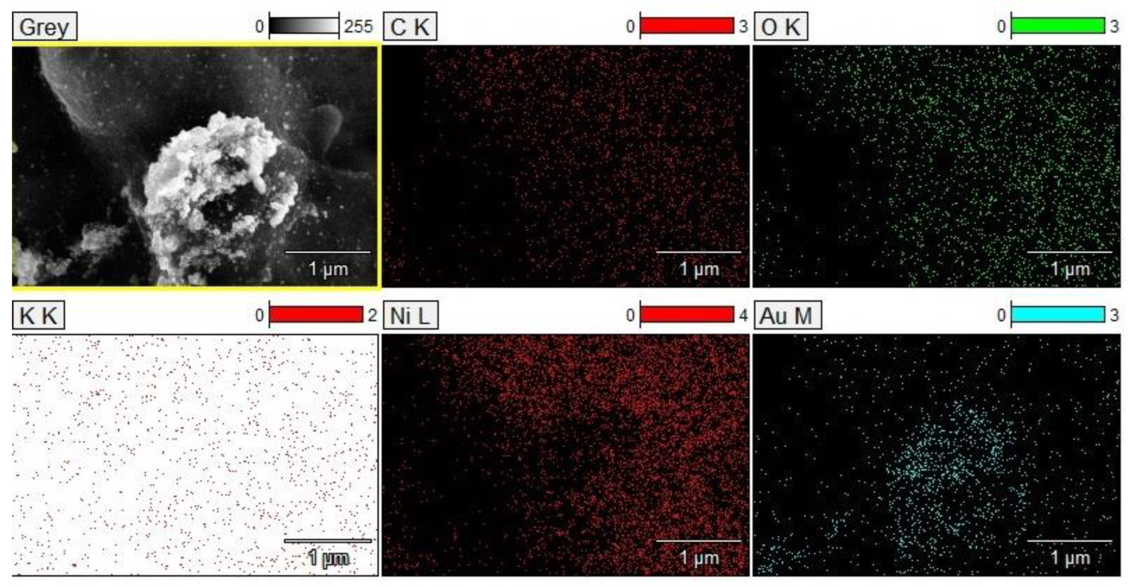 Materials 16 06795 g006