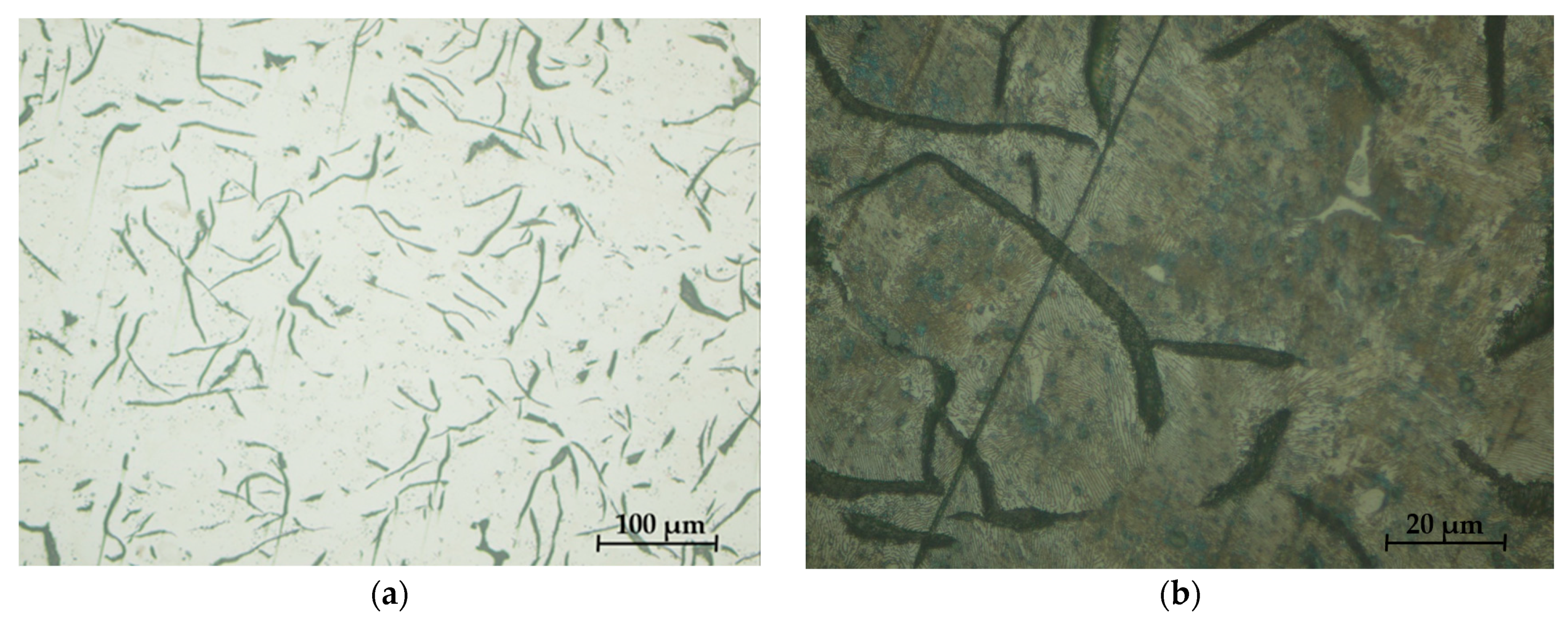 Materials 16 06797 g032a