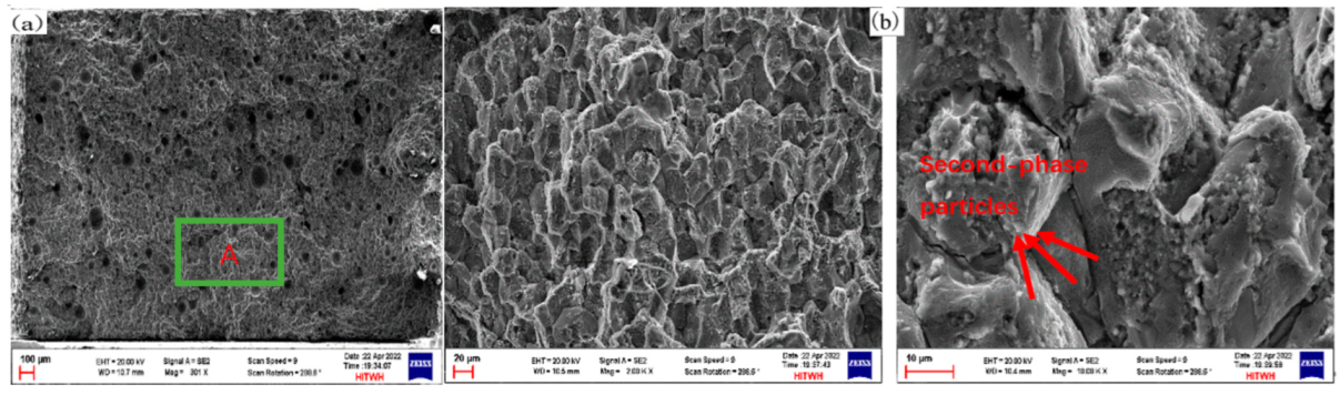 Materials 16 06801 g013a