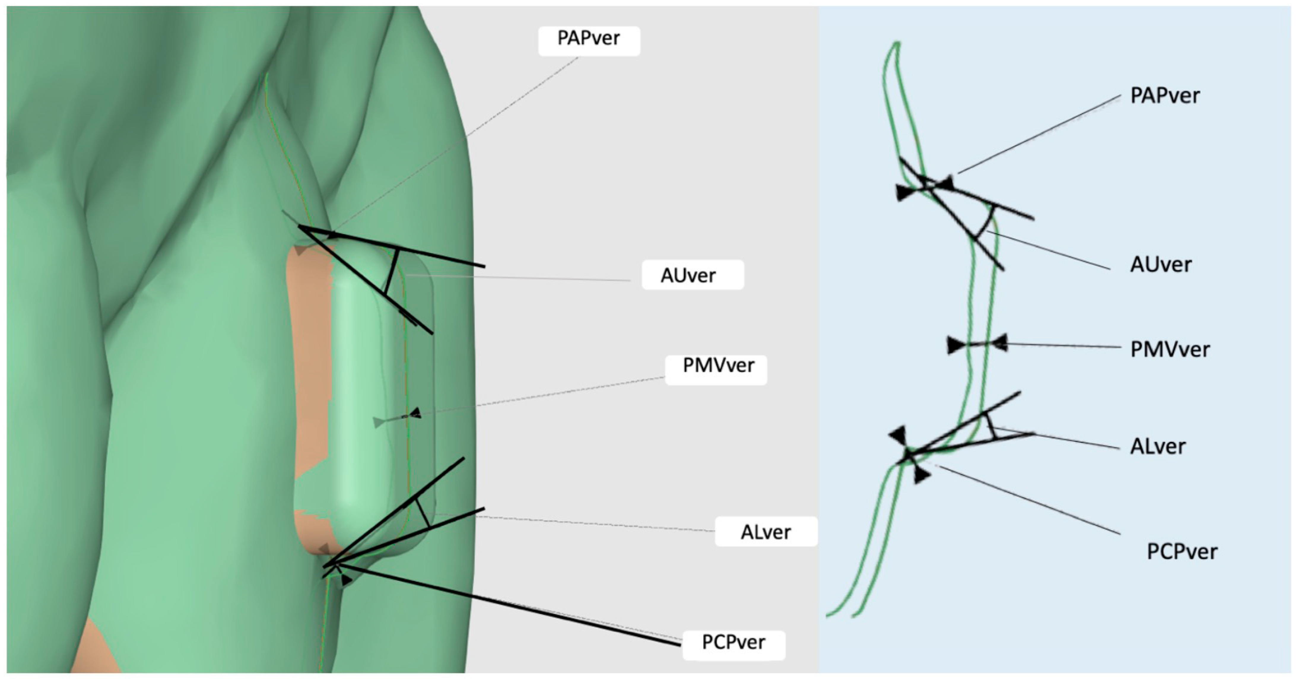 Materials 16 06811 g003