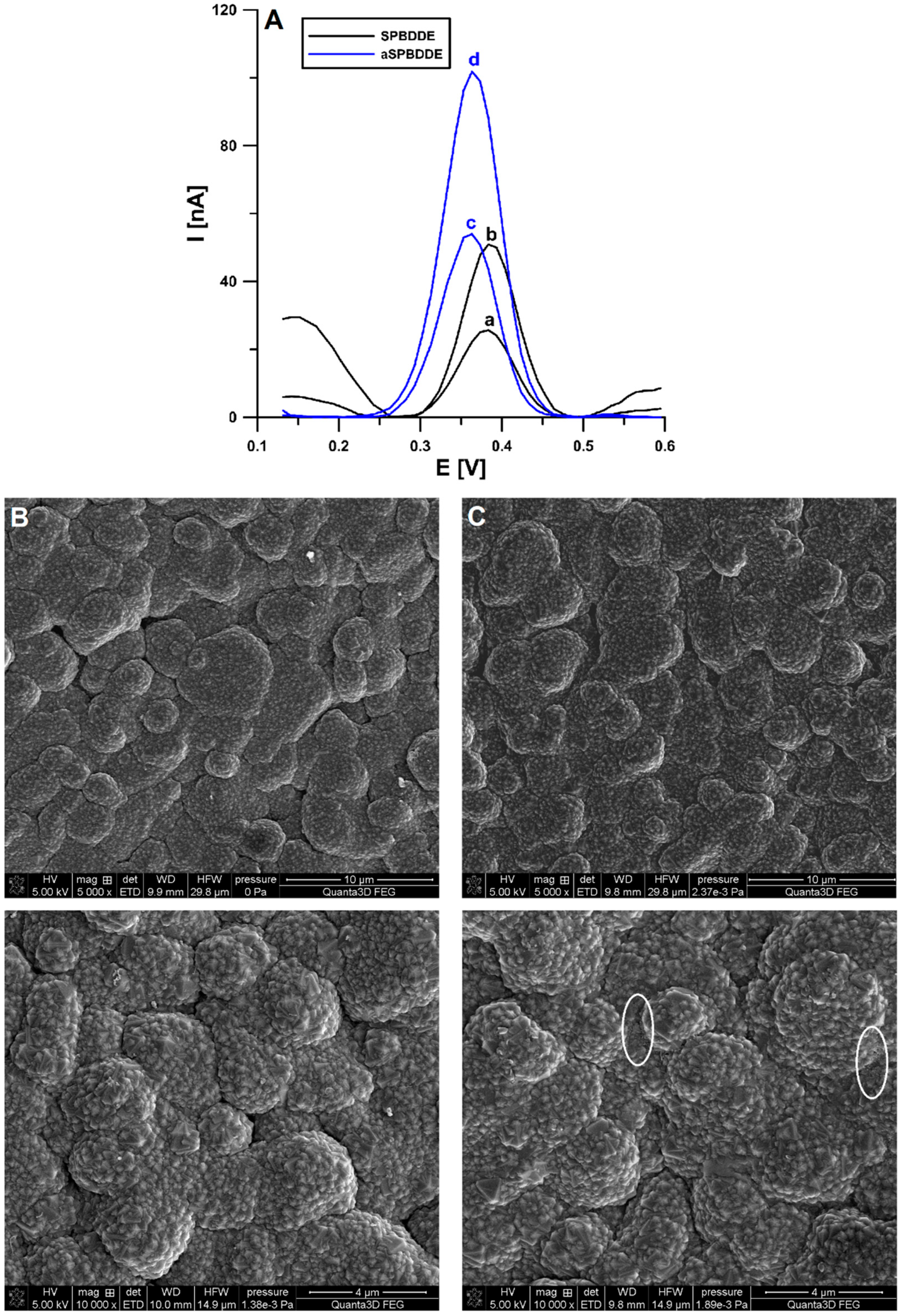Materials 16 06826 g003